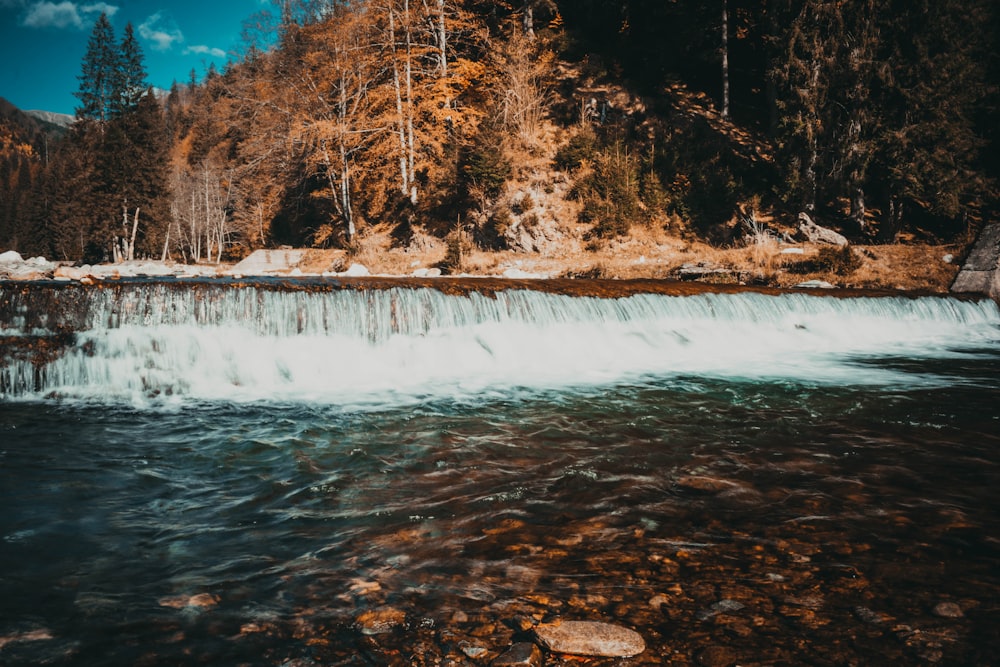 uma cachoeira com árvores e neve