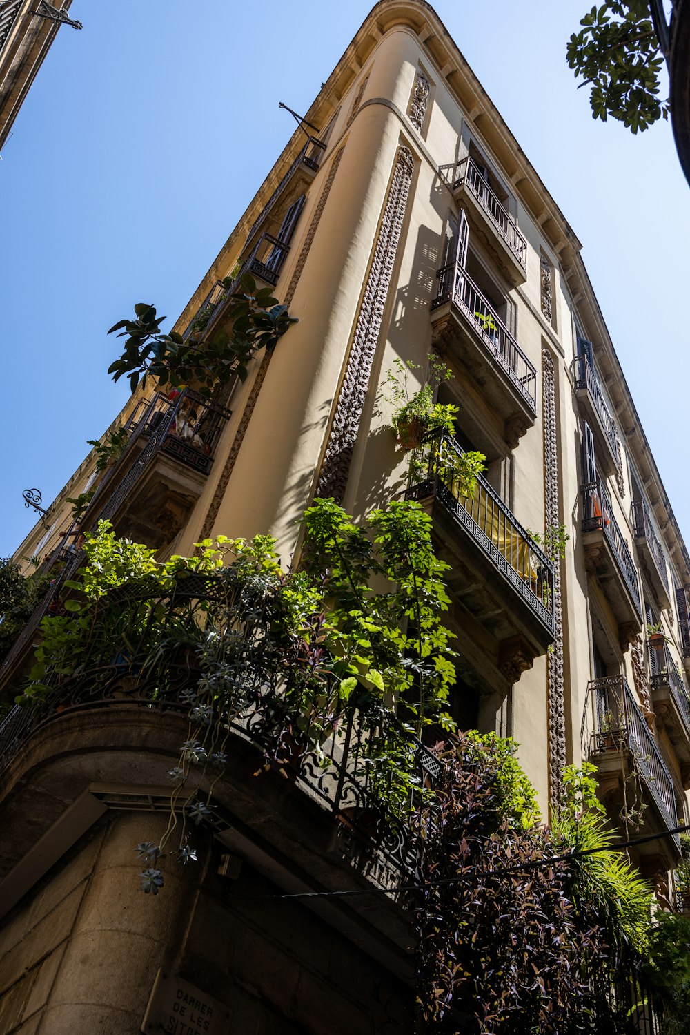 a building with plants growing on the side