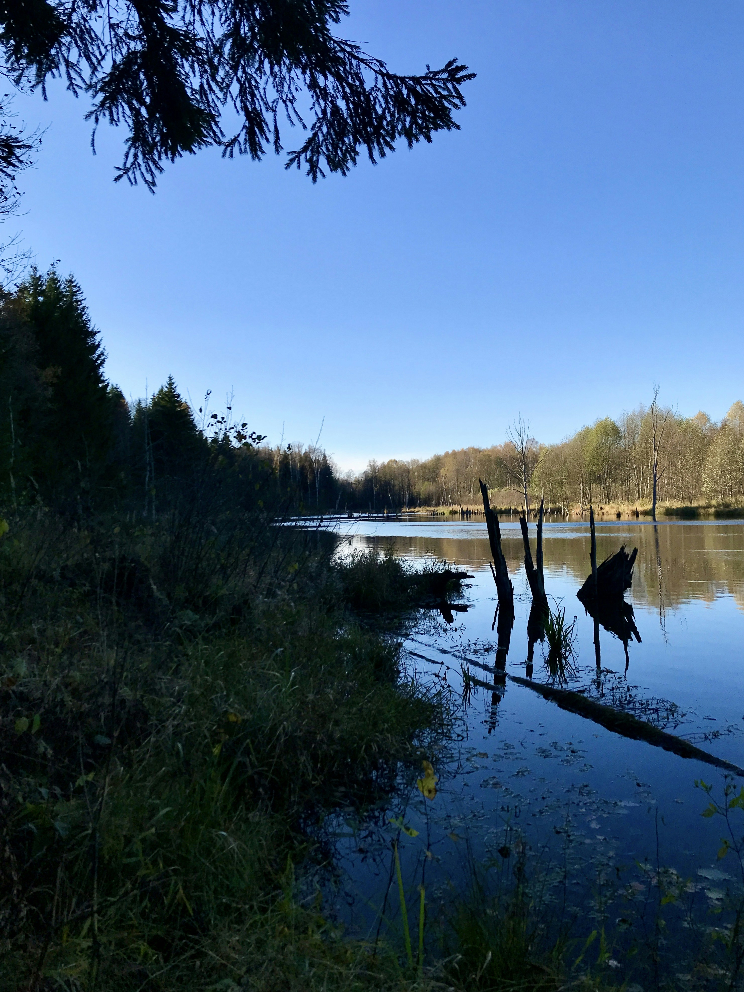 Photo by evgenslavin