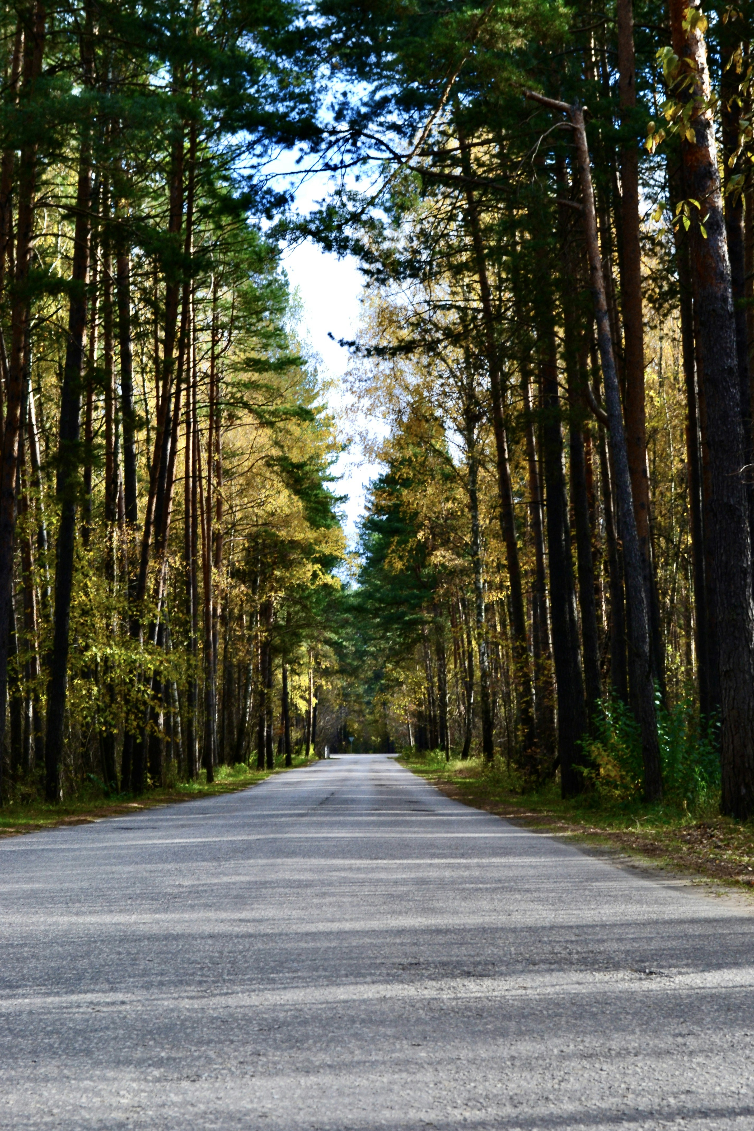 Photo by evgenslavin