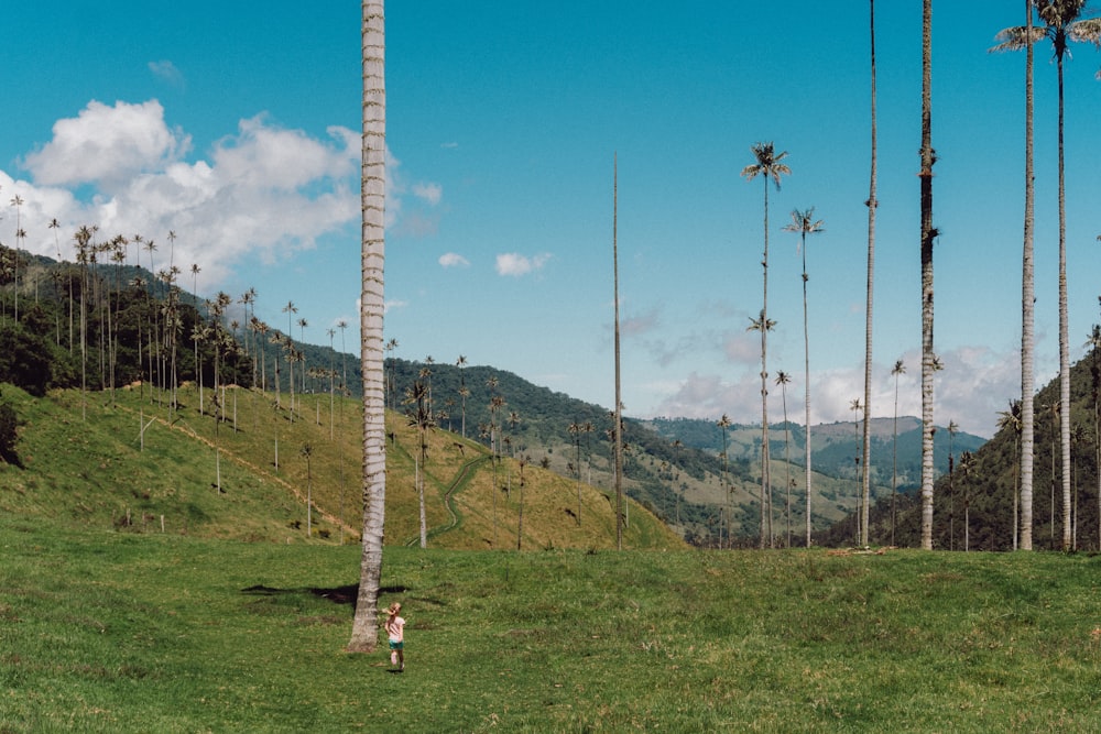 a person standing on a grassy hill with tall trees on it