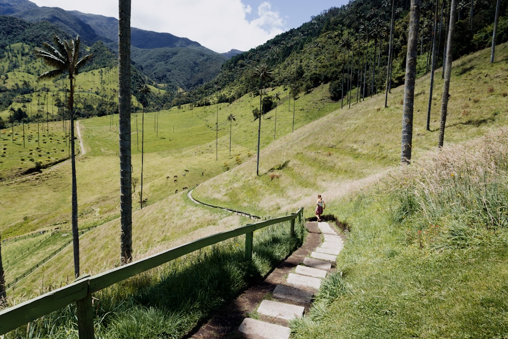 a person walking on a path in a grassy area with trees