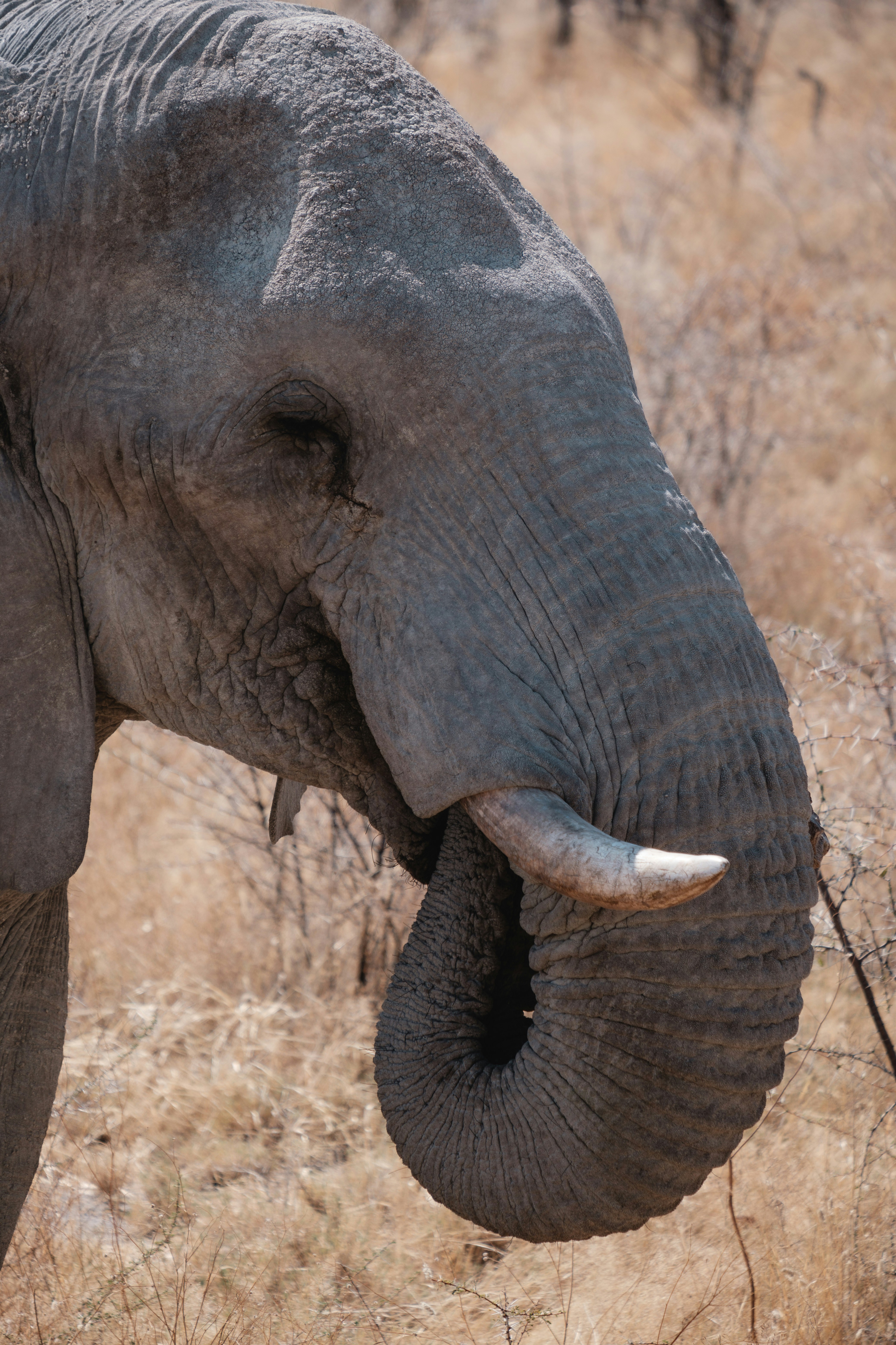 Photo by joshuakettle