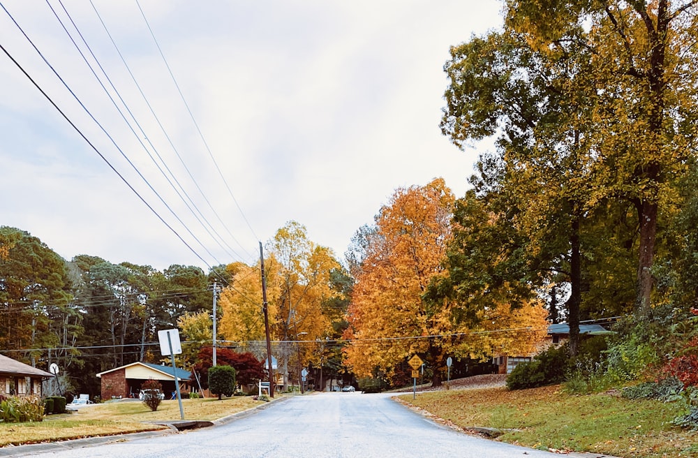 a road with trees on the side