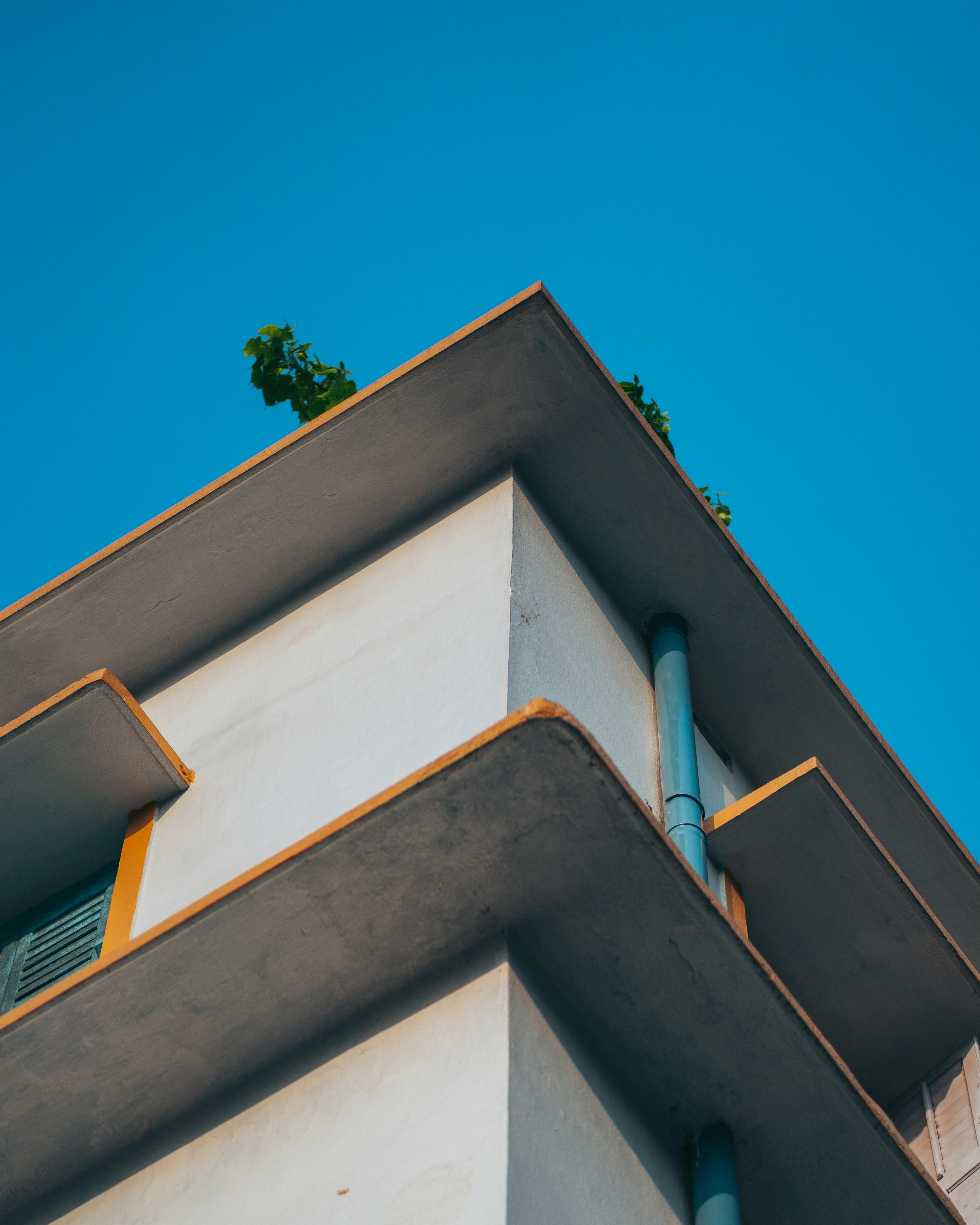 Photo by singhrupinder