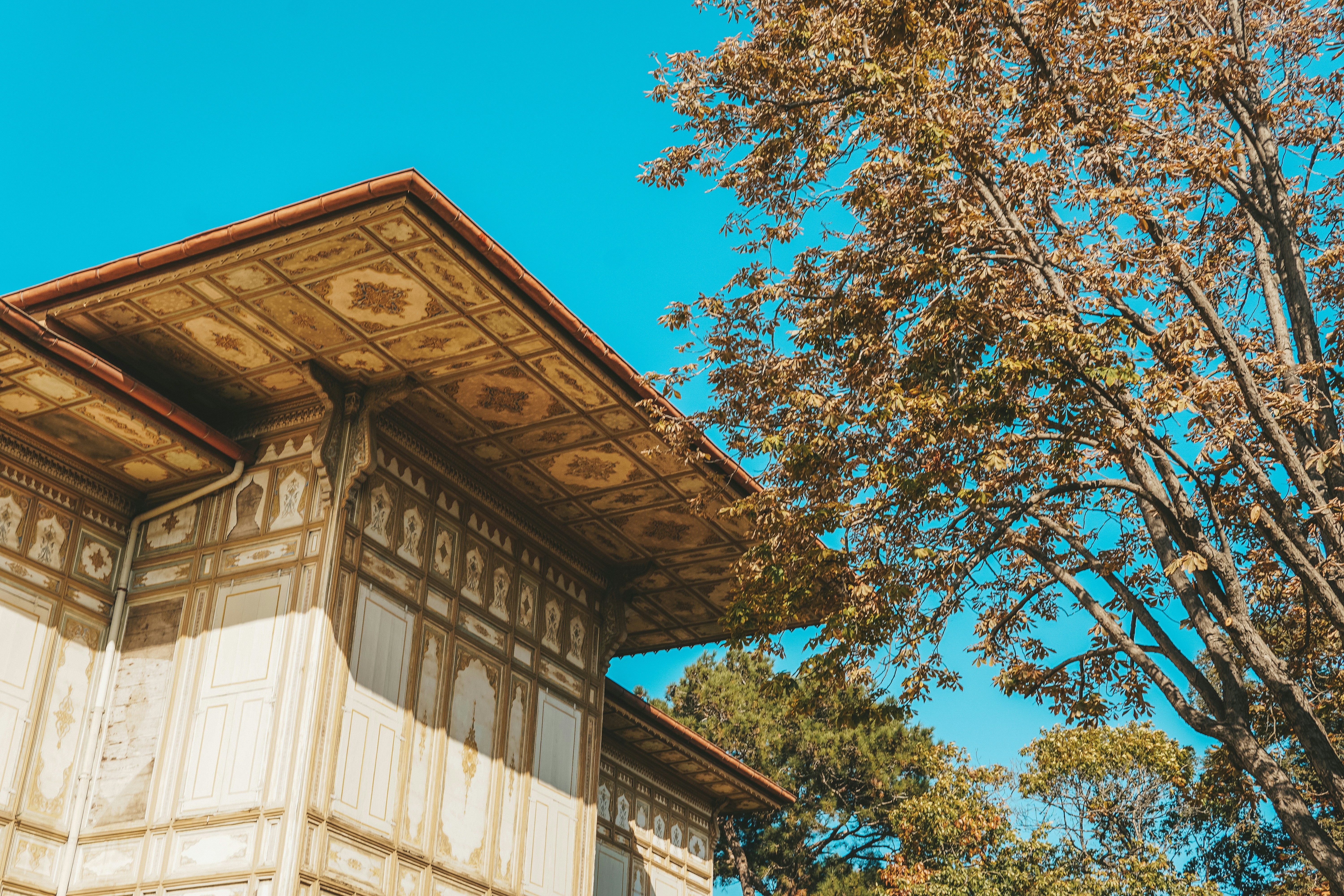 Photo by mertkahveci