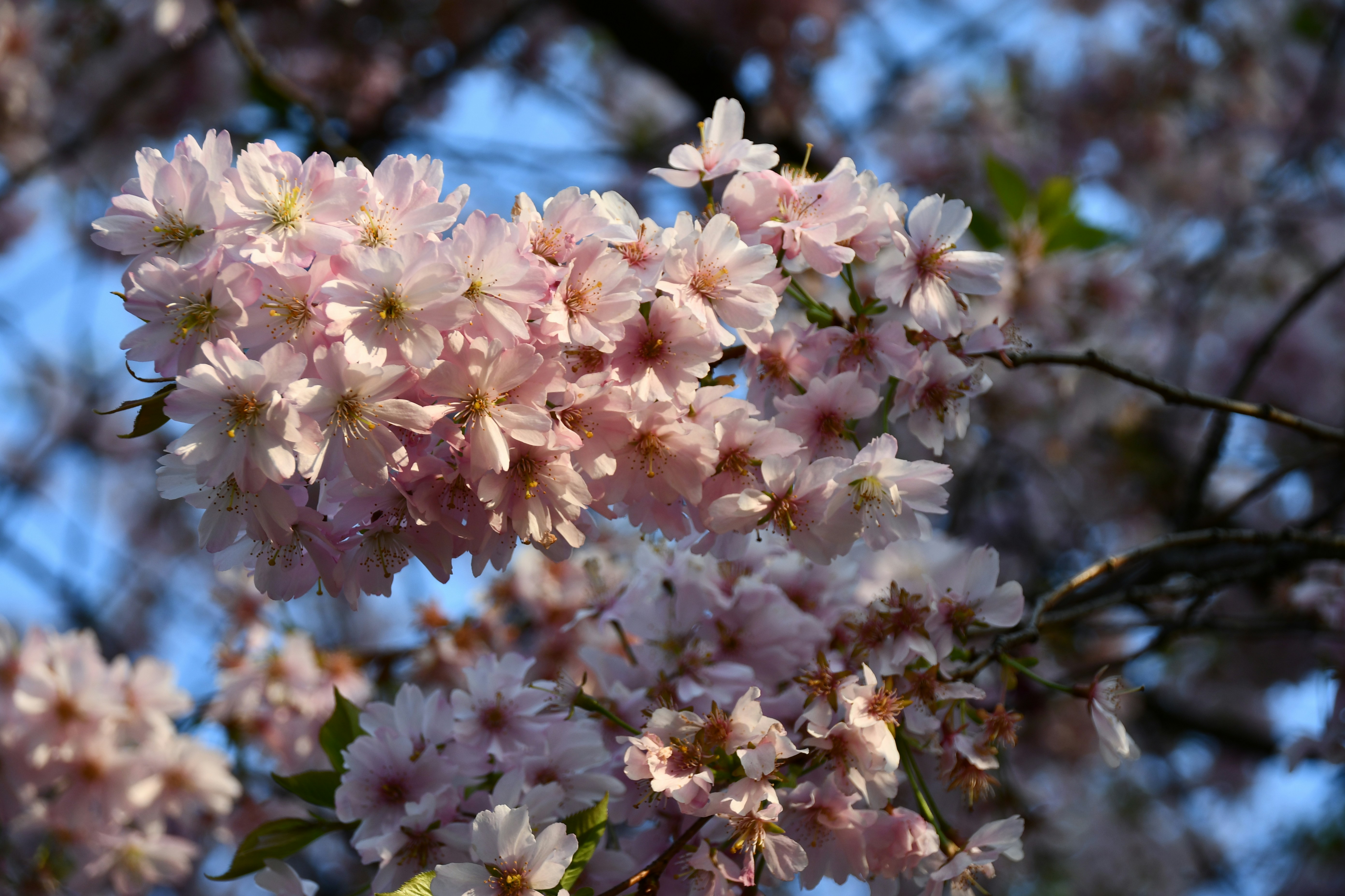 Photo by colorful_mind