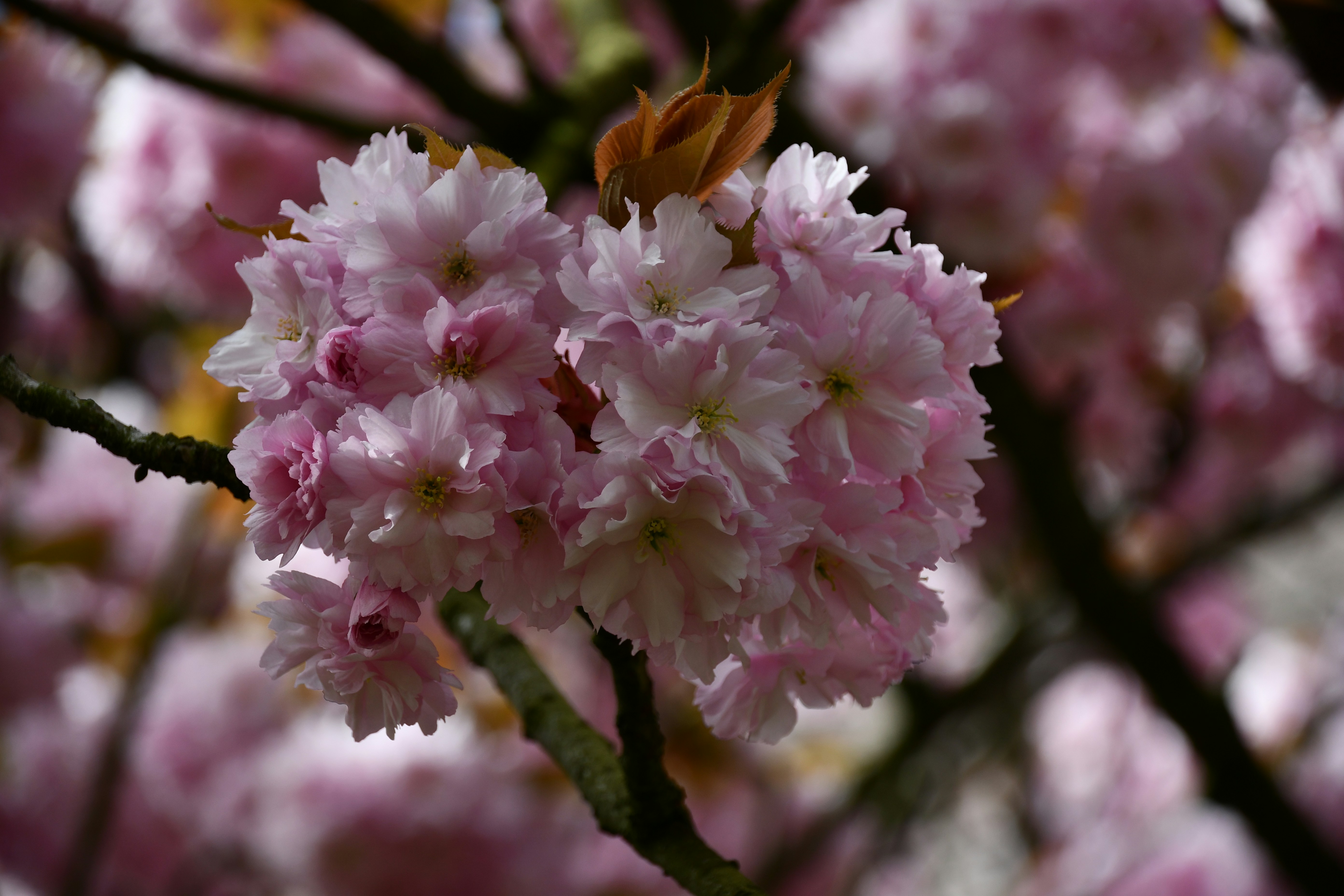 Photo by colorful_mind