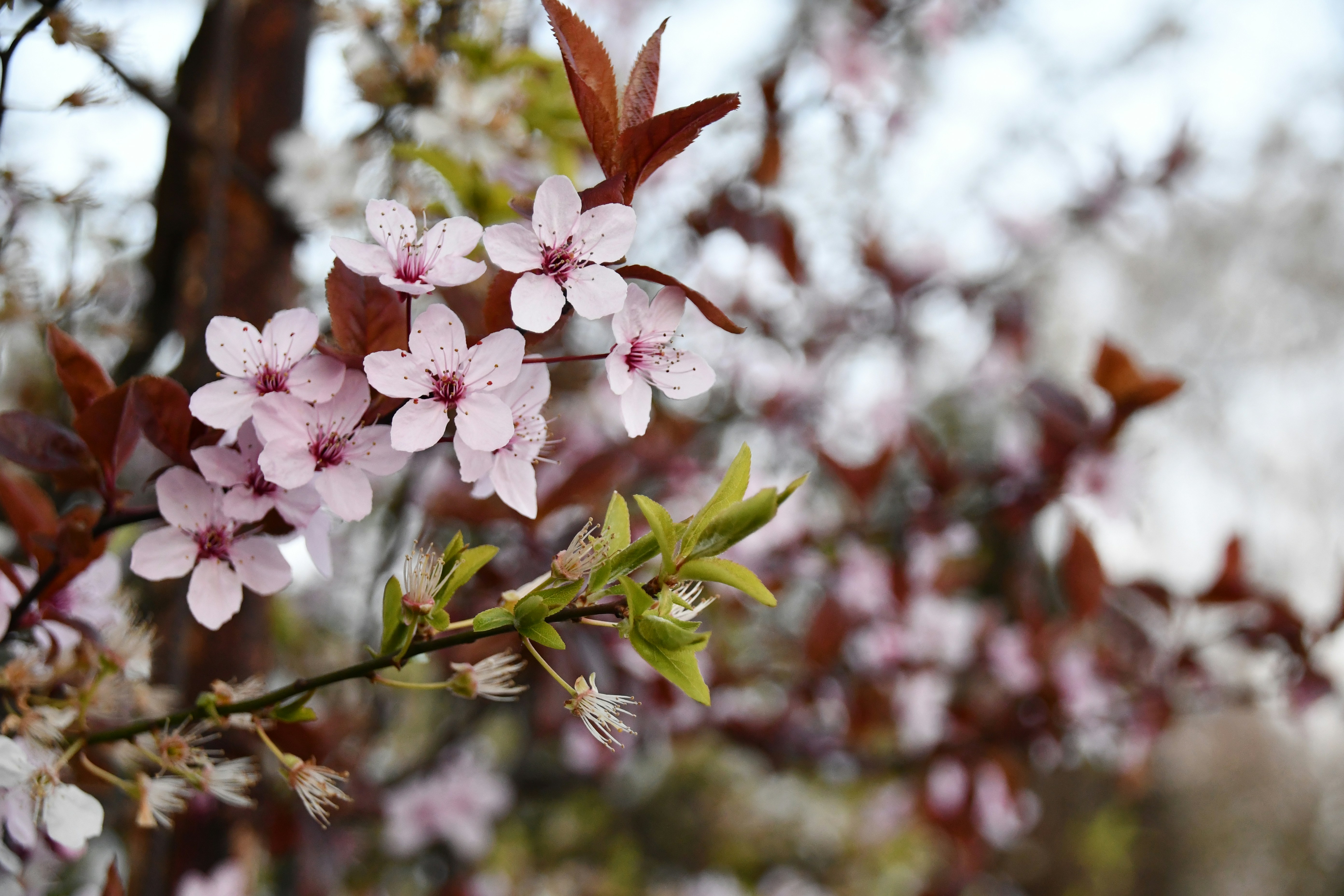 Photo by colorful_mind