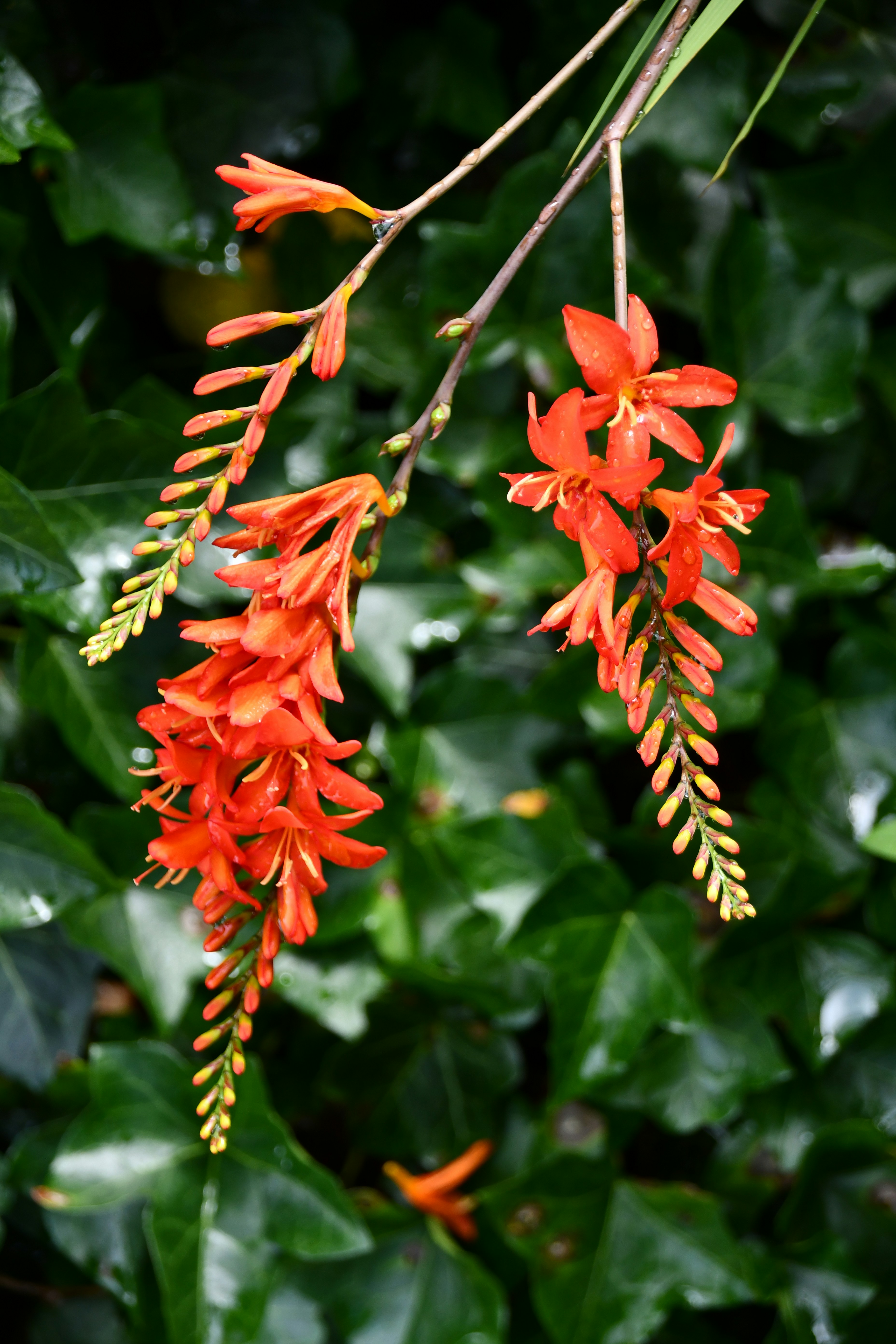 Photo by colorful_mind