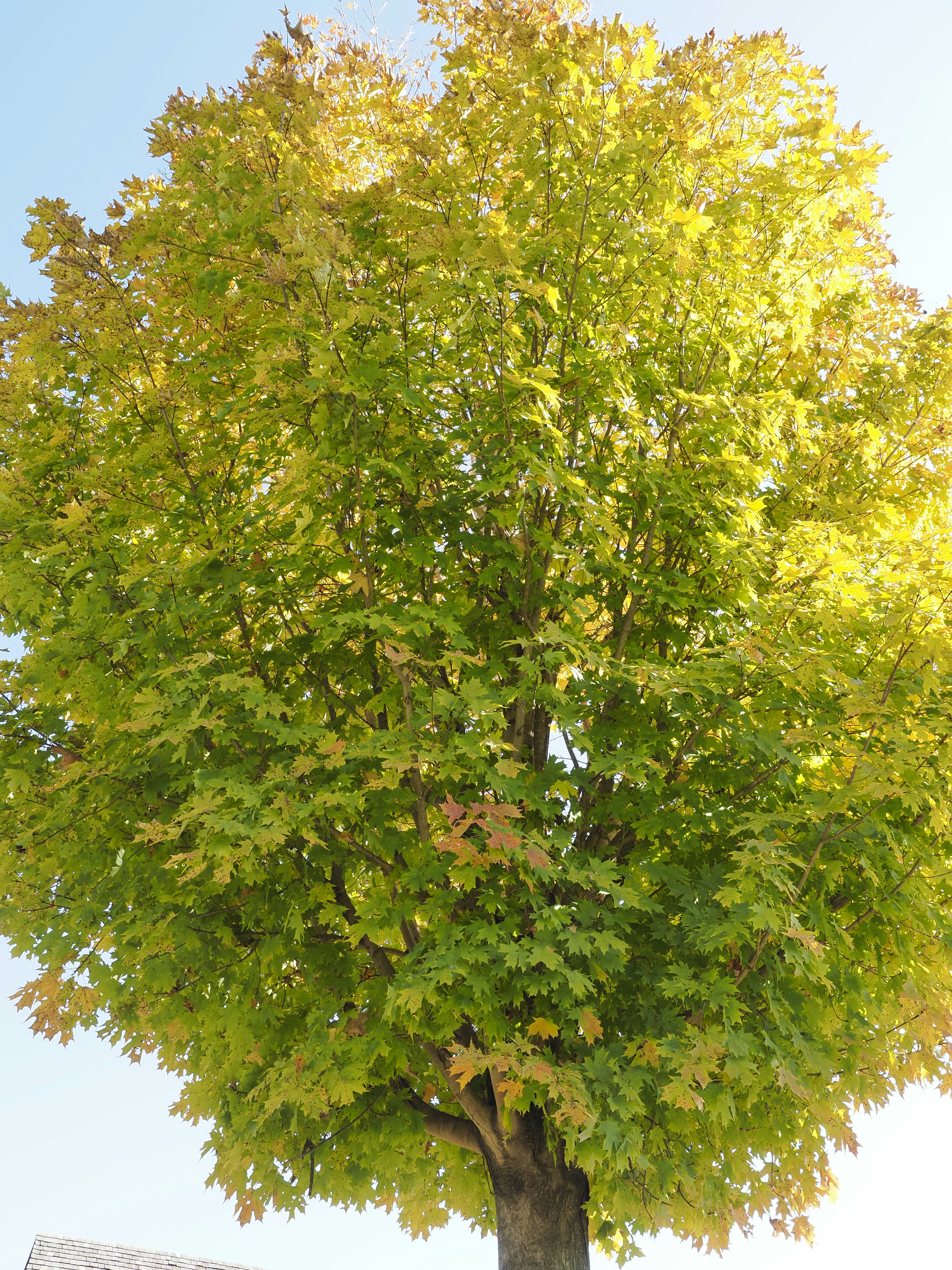 Photo by sergey_photos