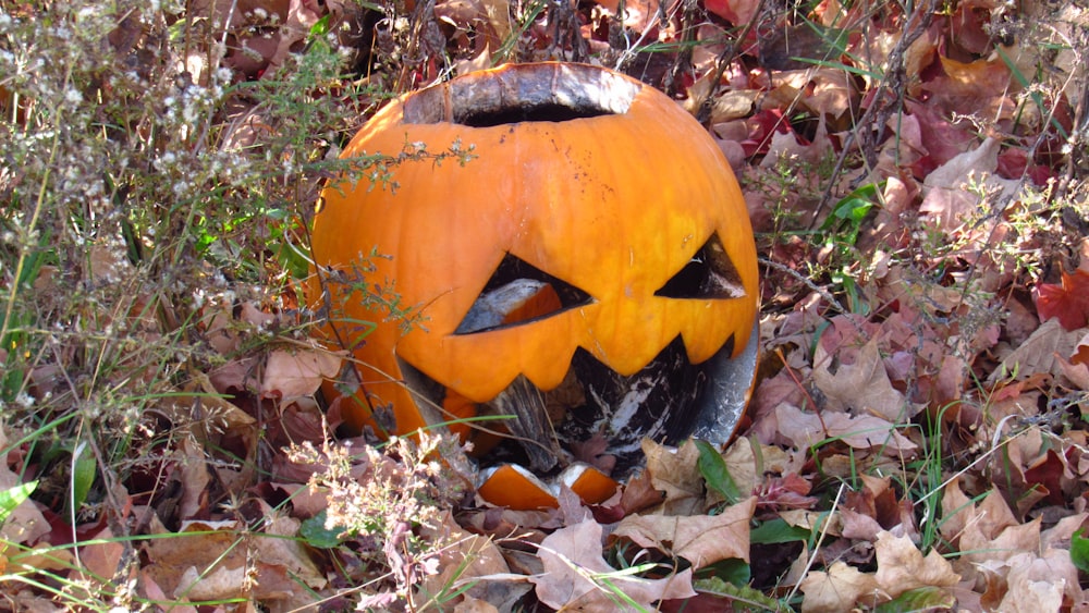 a pumpkin with a face carved in it