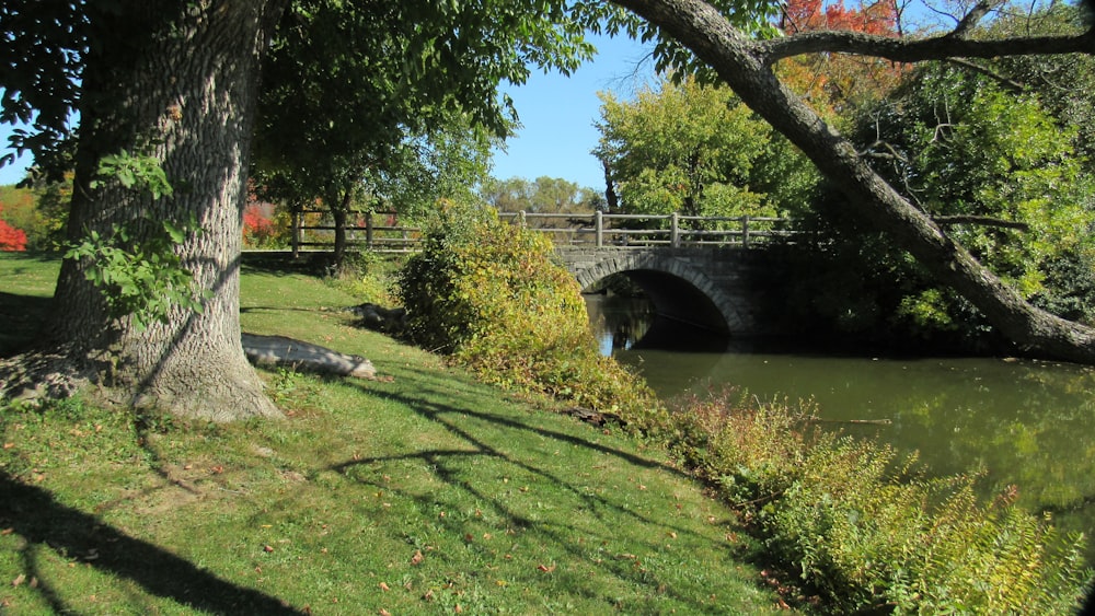 a bridge over a river