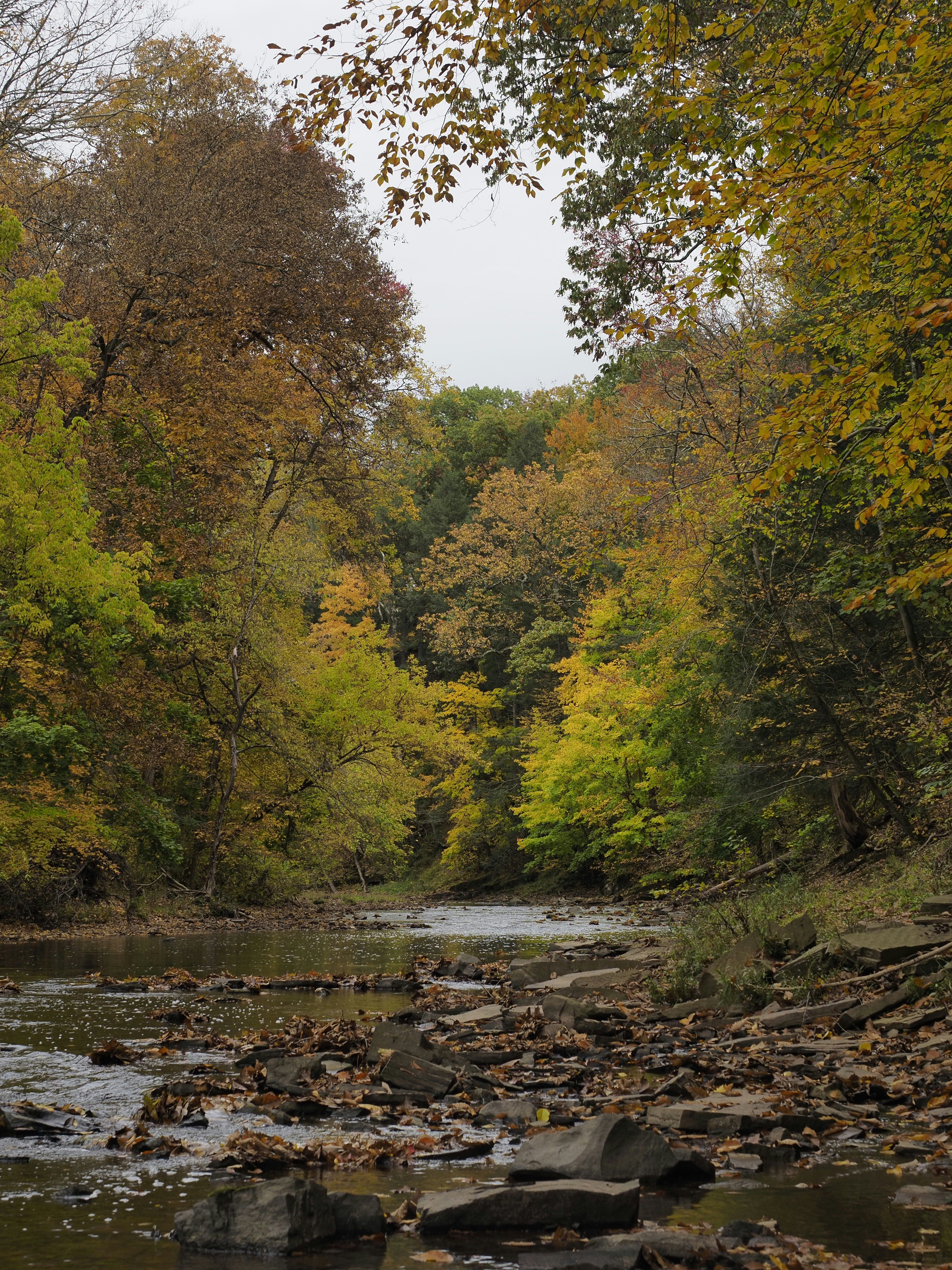 Photo by adelina_photos