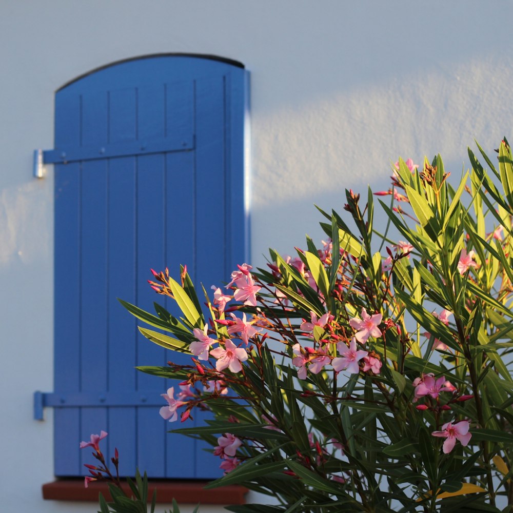 a blue door with flowers in front of it