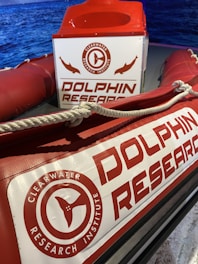 Clearwater beach with Moore College marine program students conducting field research.