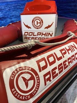 The image features a close-up of a research boat deck with prominent signage related to dolphin research. The text 'Dolphin Research' and 'Clearwater Research Institute' is clearly visible on banners. The setup includes inflatable pontoons and ropes, with a blue water backdrop adding to the aquatic theme.