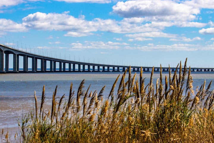 Spanning the Mighty: Top 6 Longest Bridges in India and Their Remarkable Stories