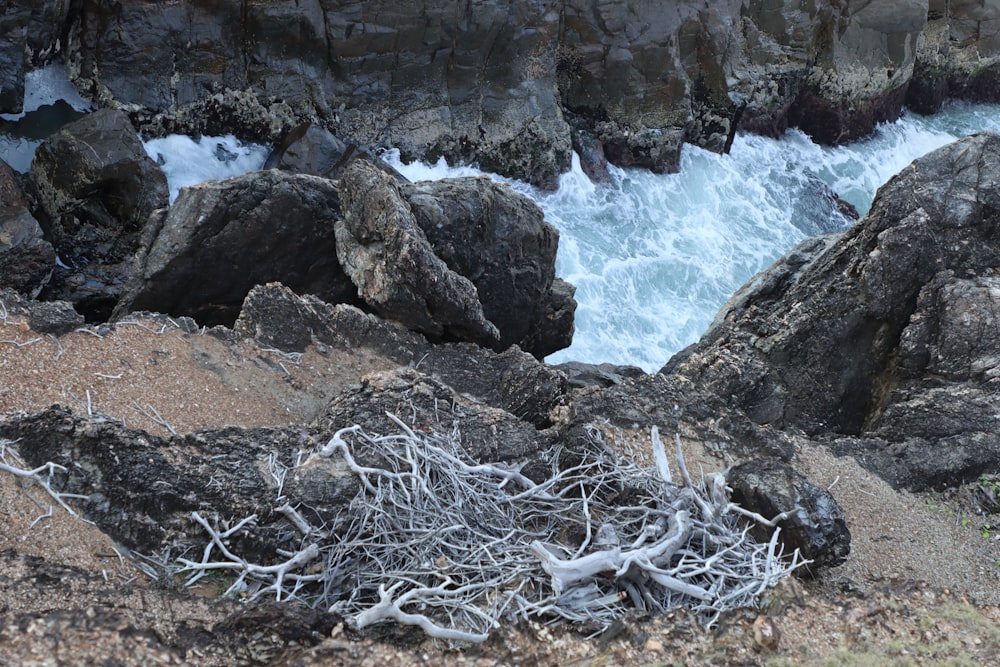 a pile of sticks and branches next to a waterfall