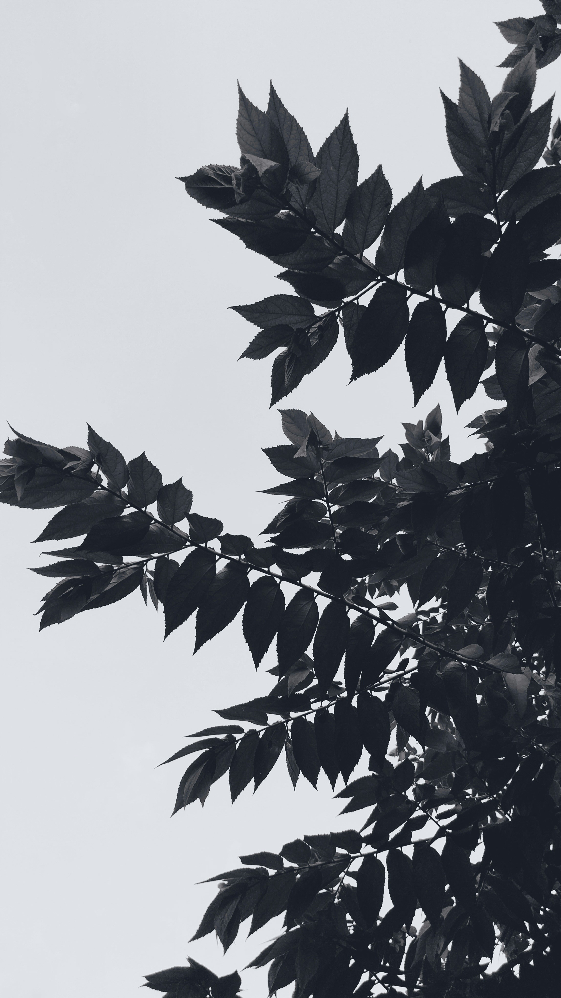 Photo by arielarachel_