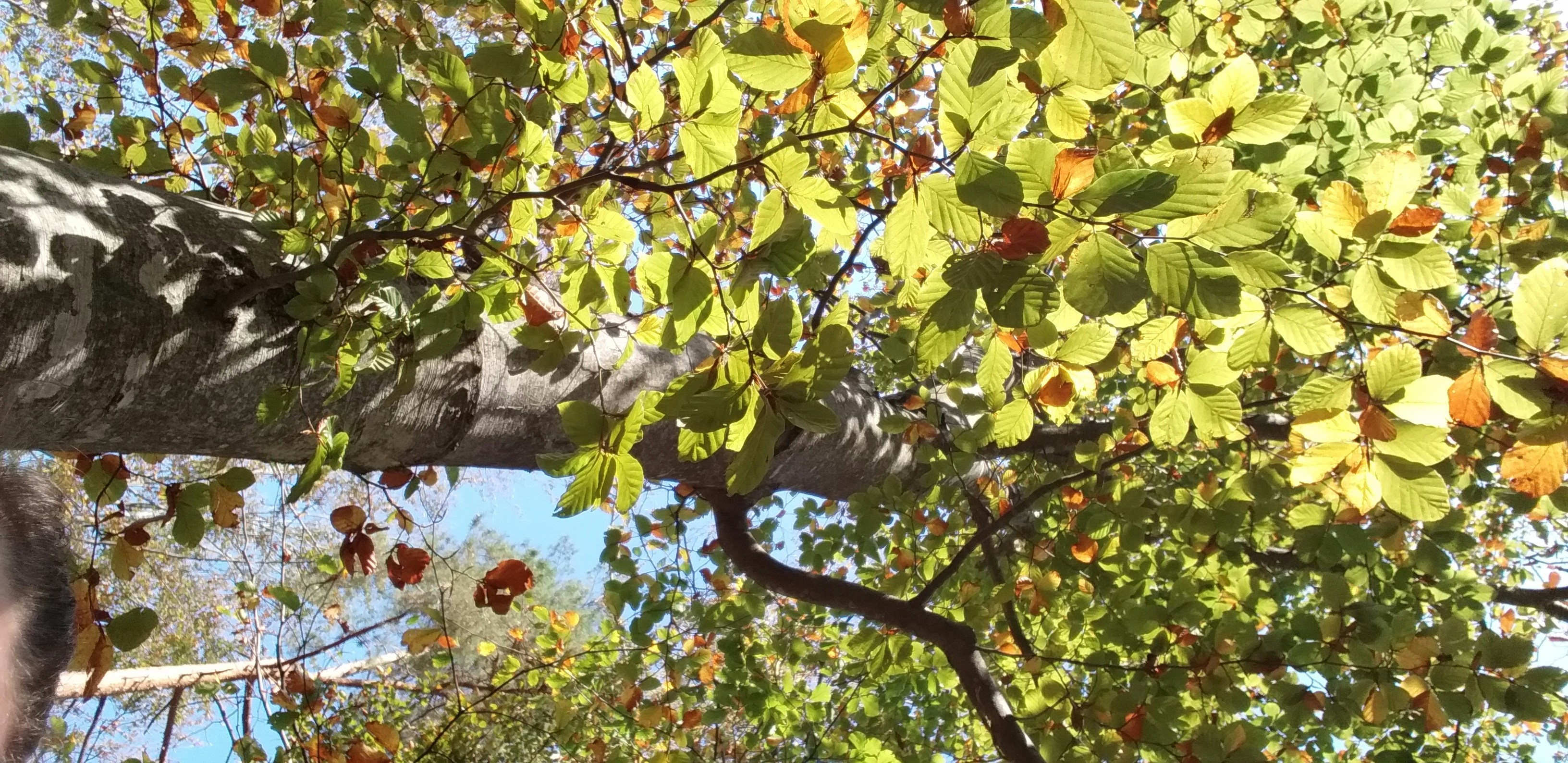 Photo by crissudanny