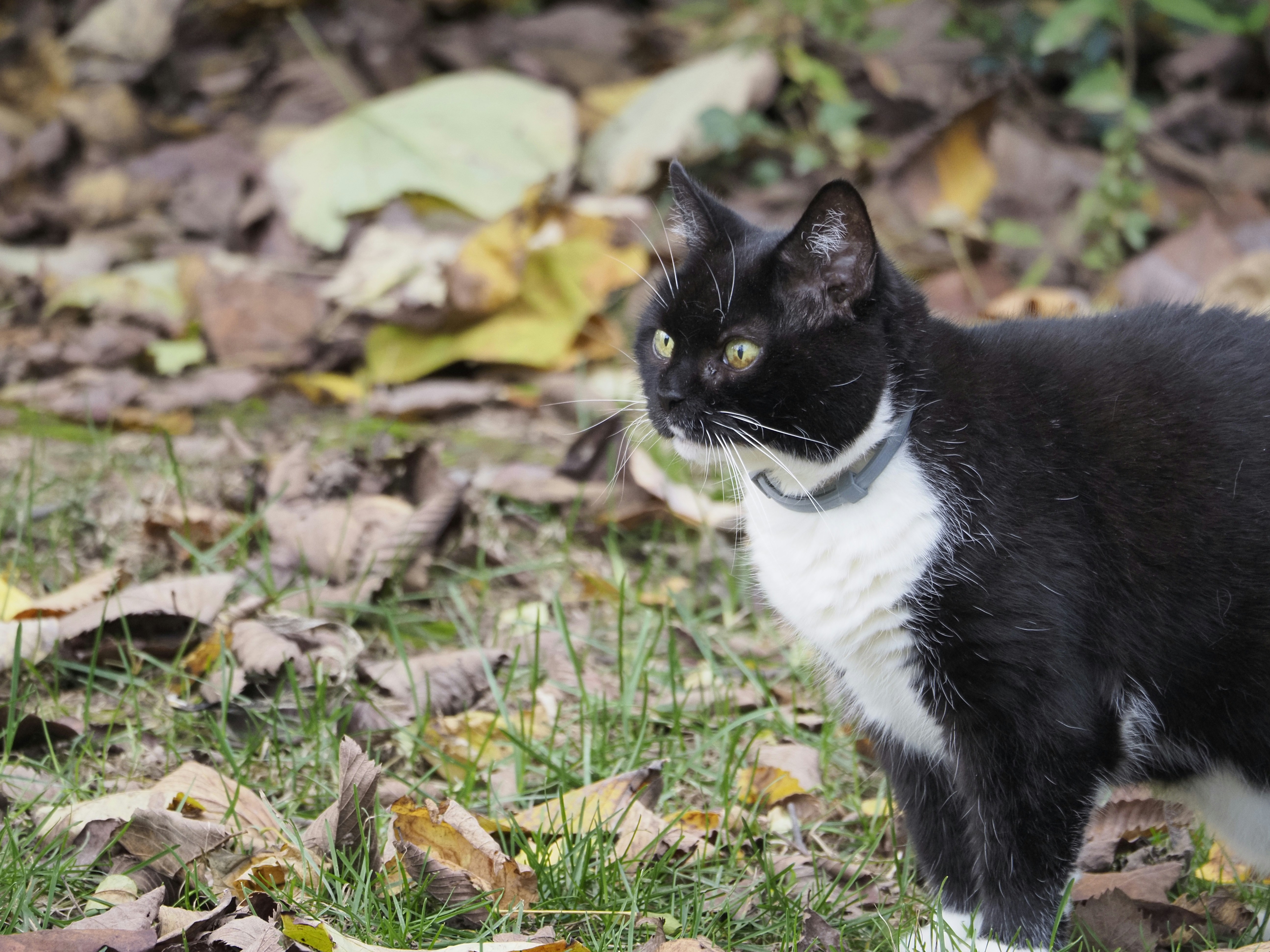 Photo by sergey_photos