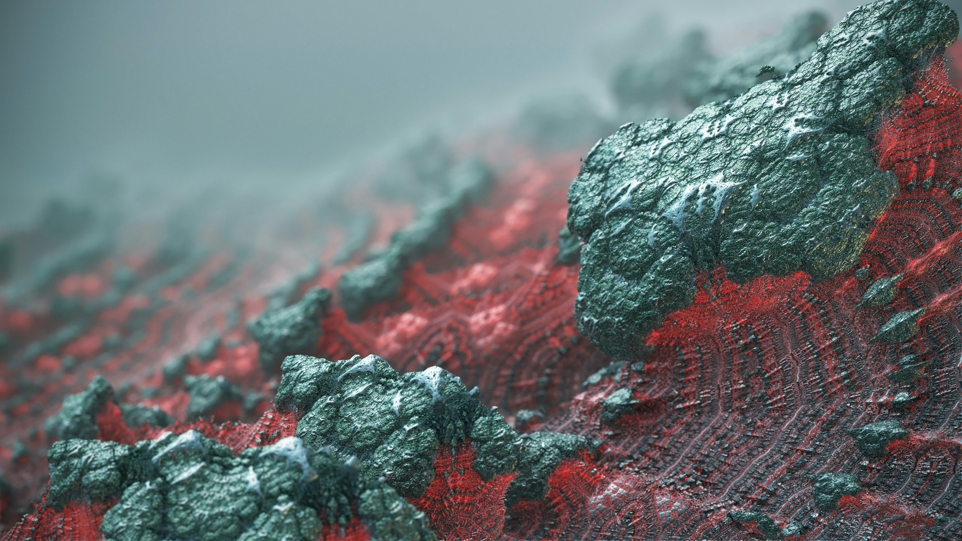 A importância do zinco na imunidade