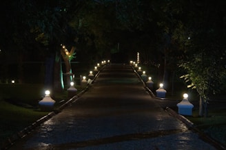 A beautifully lit pathway showcasing glowpath lighting's outdoor fixtures.