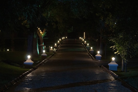 A beautifully lit pathway showcasing glowpath lighting's outdoor fixtures.