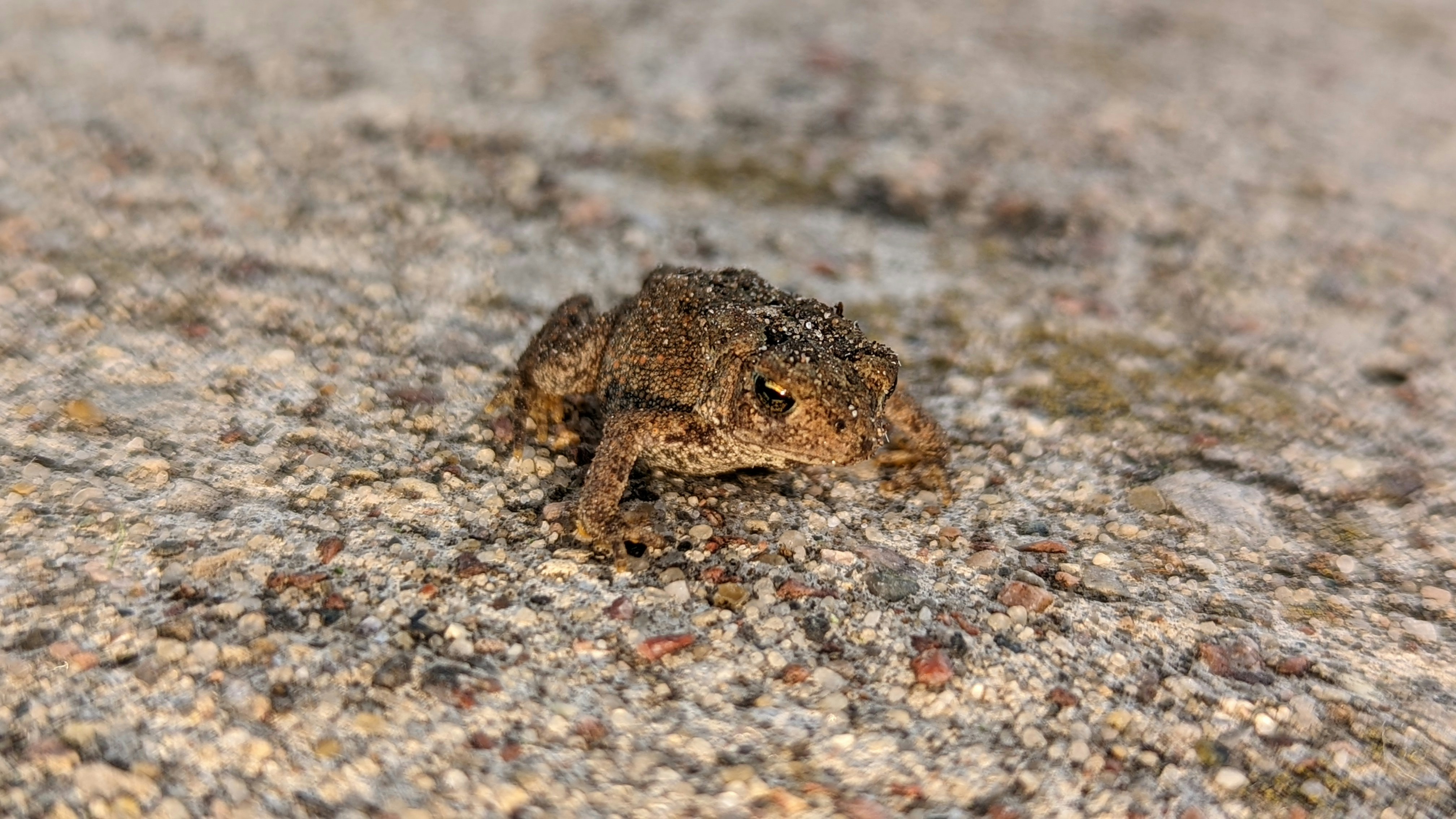 Photo by bridjett_renae_photography