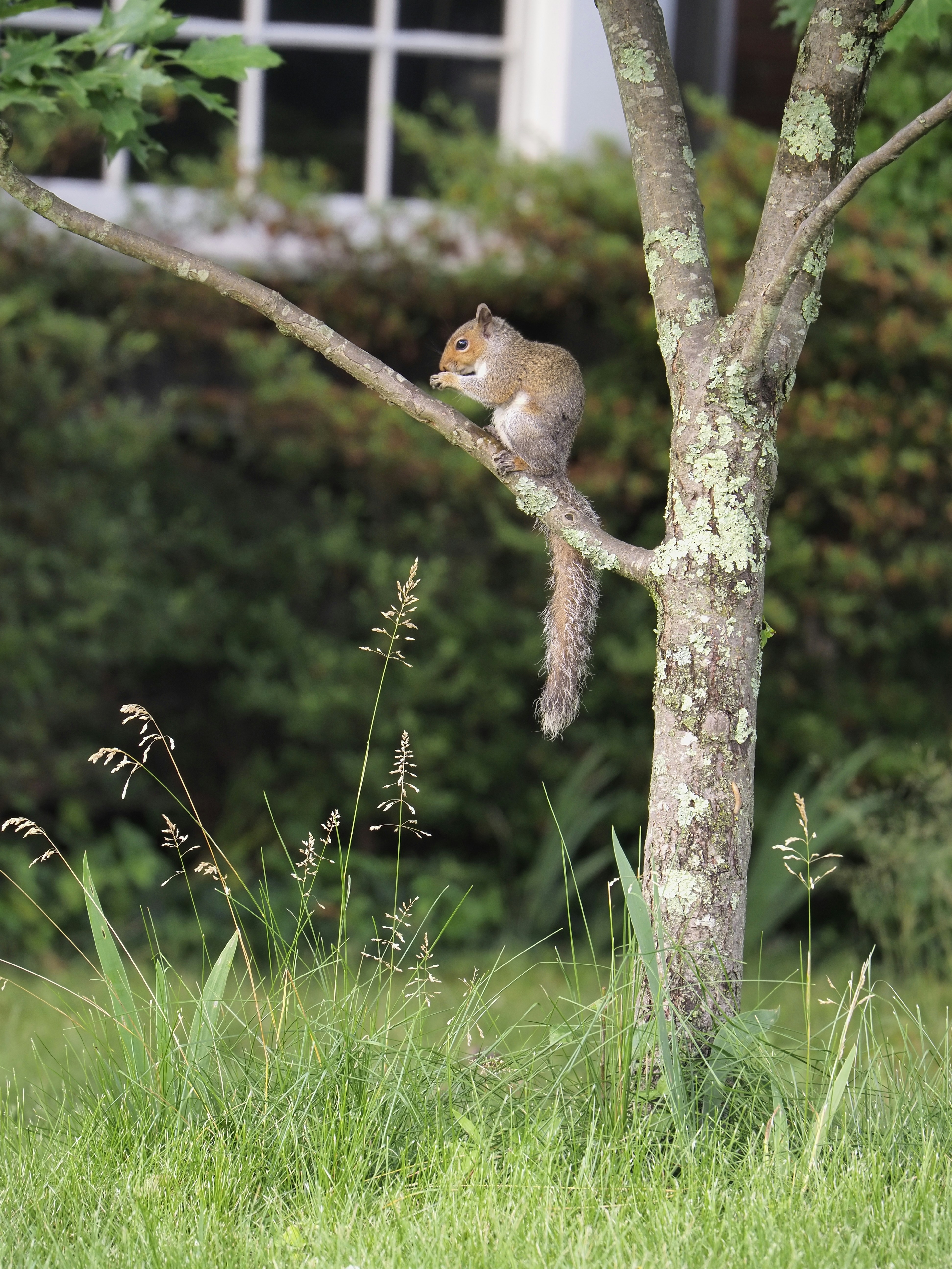 Photo by sergey_photos