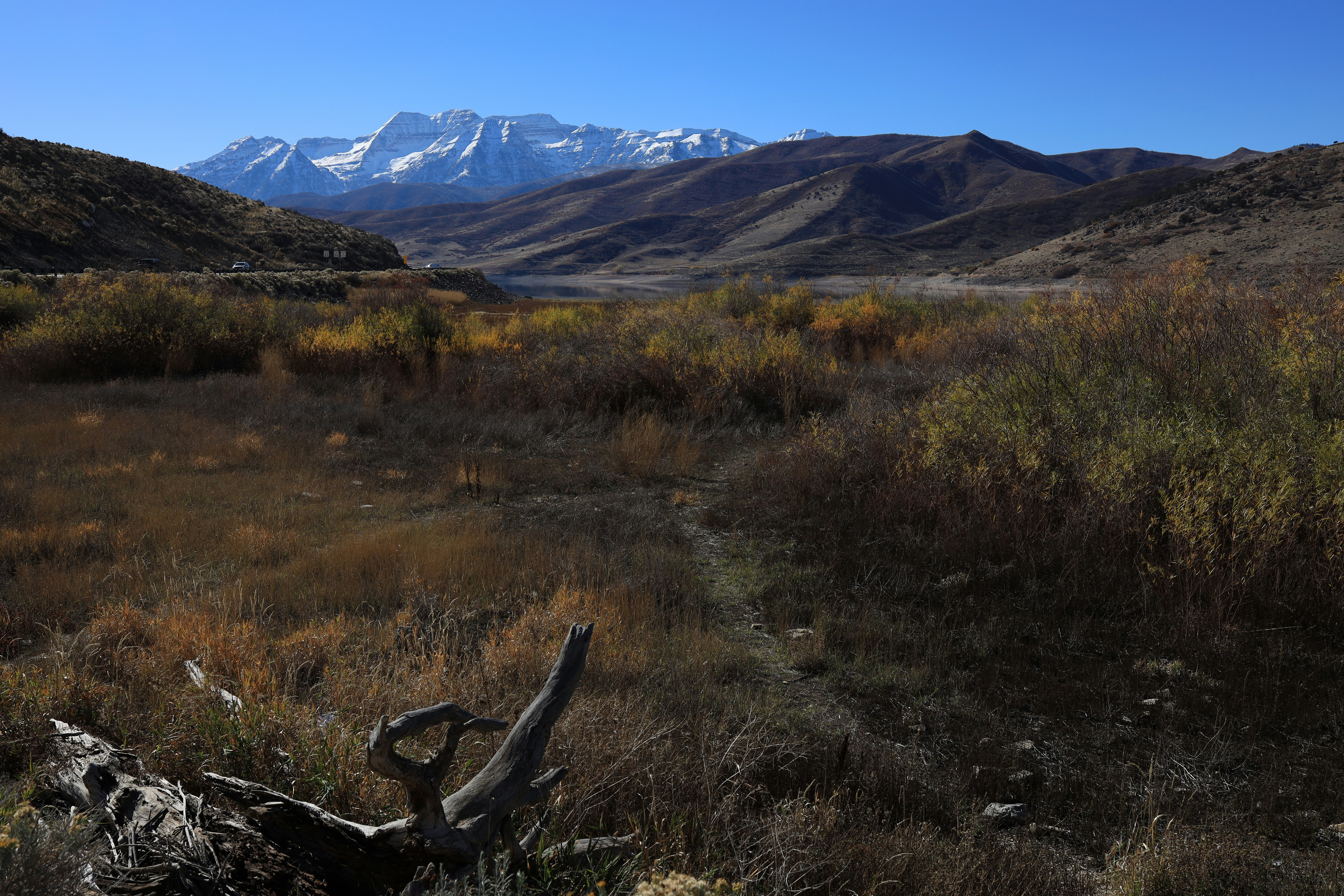 Photo by djburkephotography