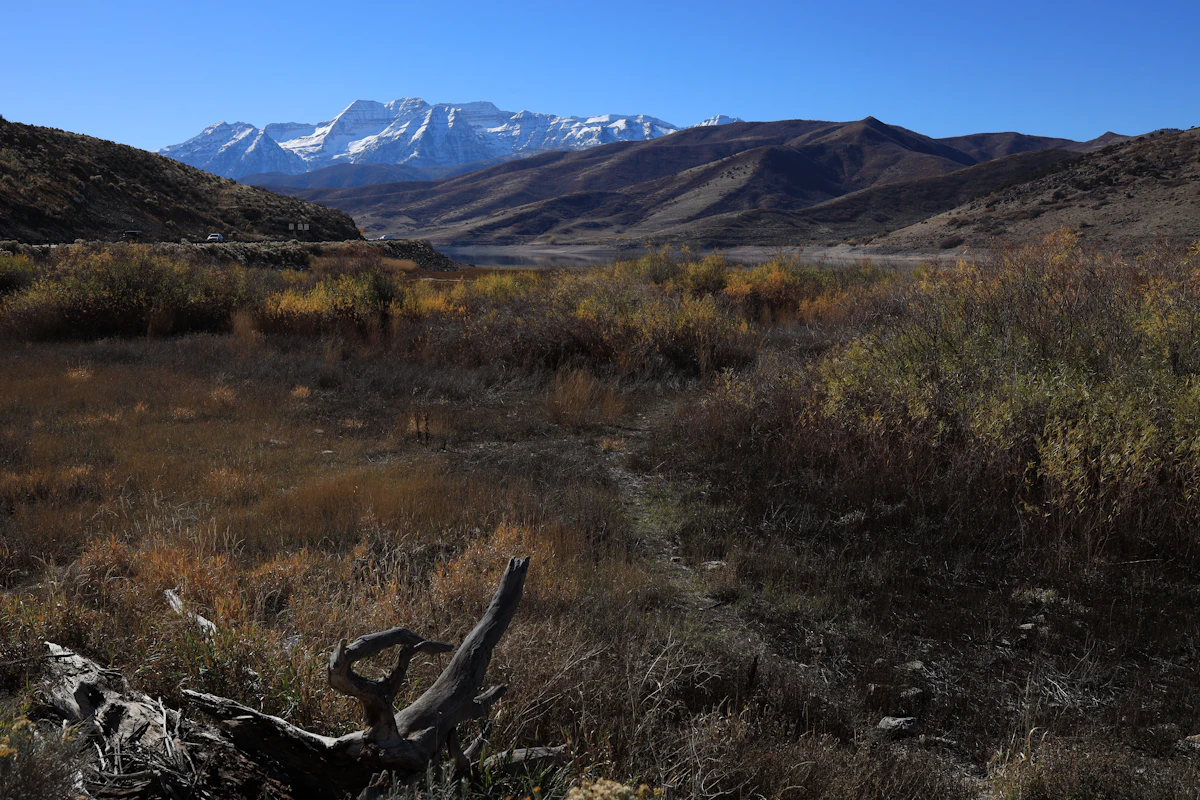 Autumn brush by Deer Creek Reservoir, with snow on Mount Timpanogos in the distance