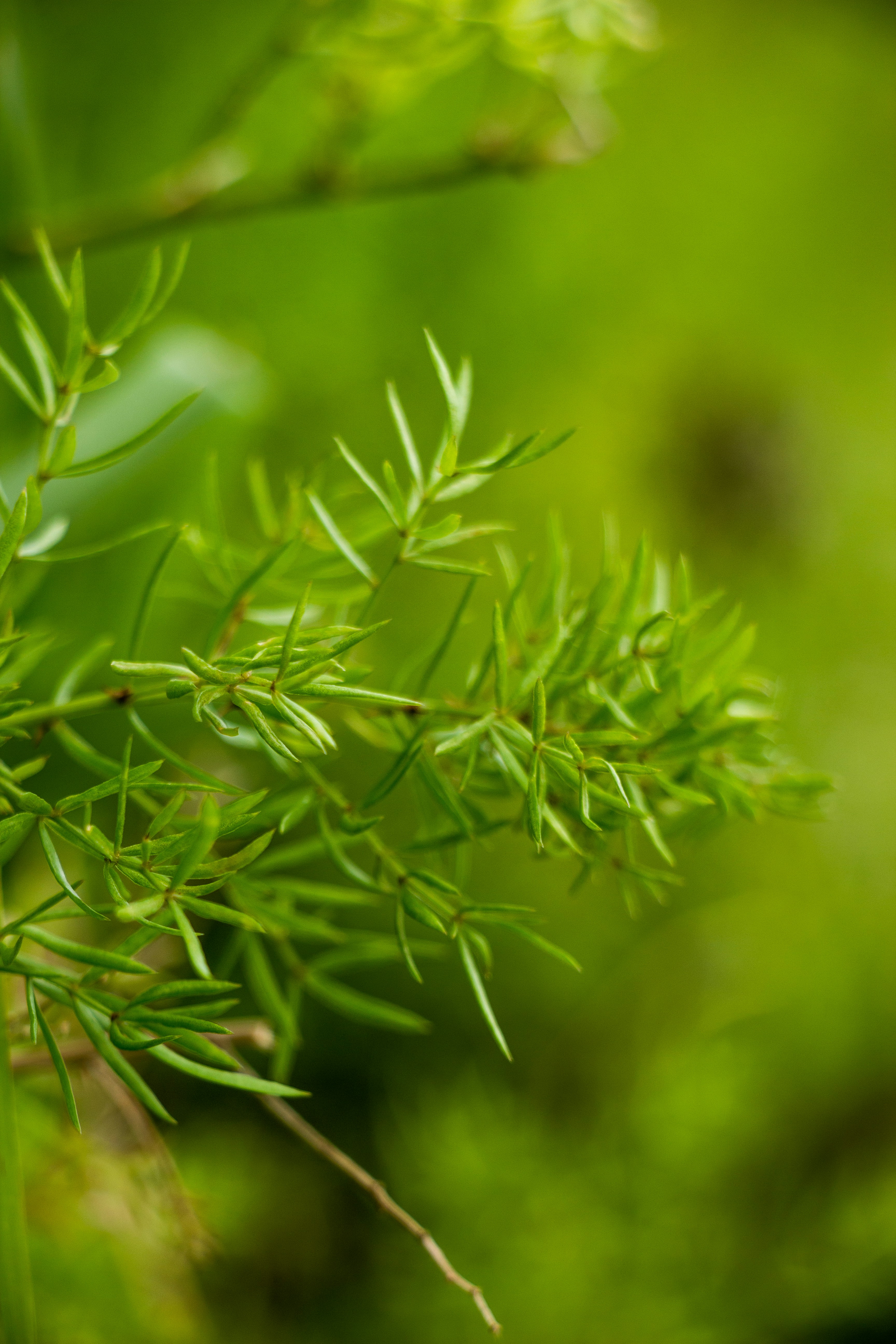 Photo by shreyaantech