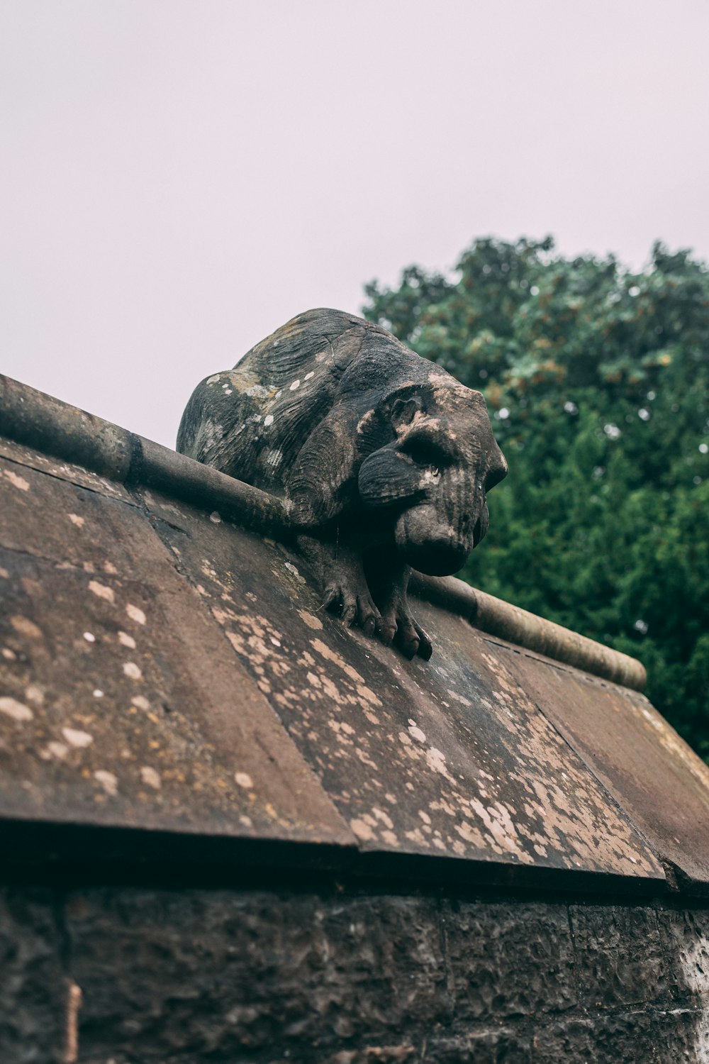 Una estatua de un león