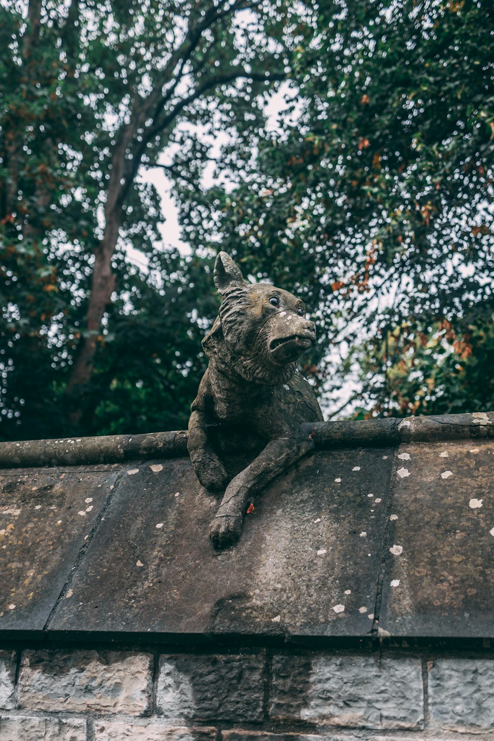 a cat sitting on a ledge