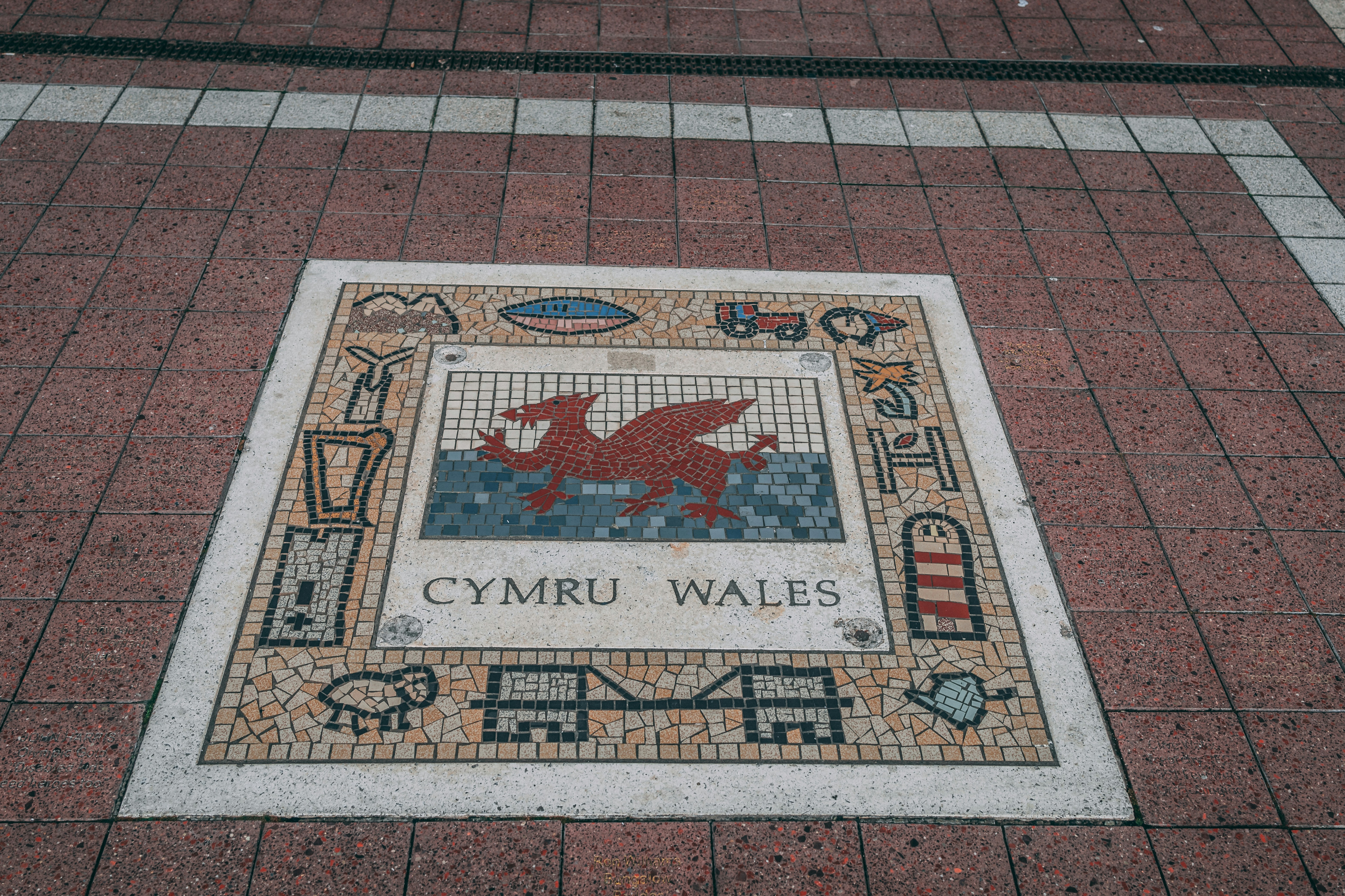 National Museum Cardiff's Woolly Mammoth Named Tom Bones After Public Vote