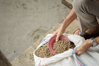 a person holding a bucket of dirt