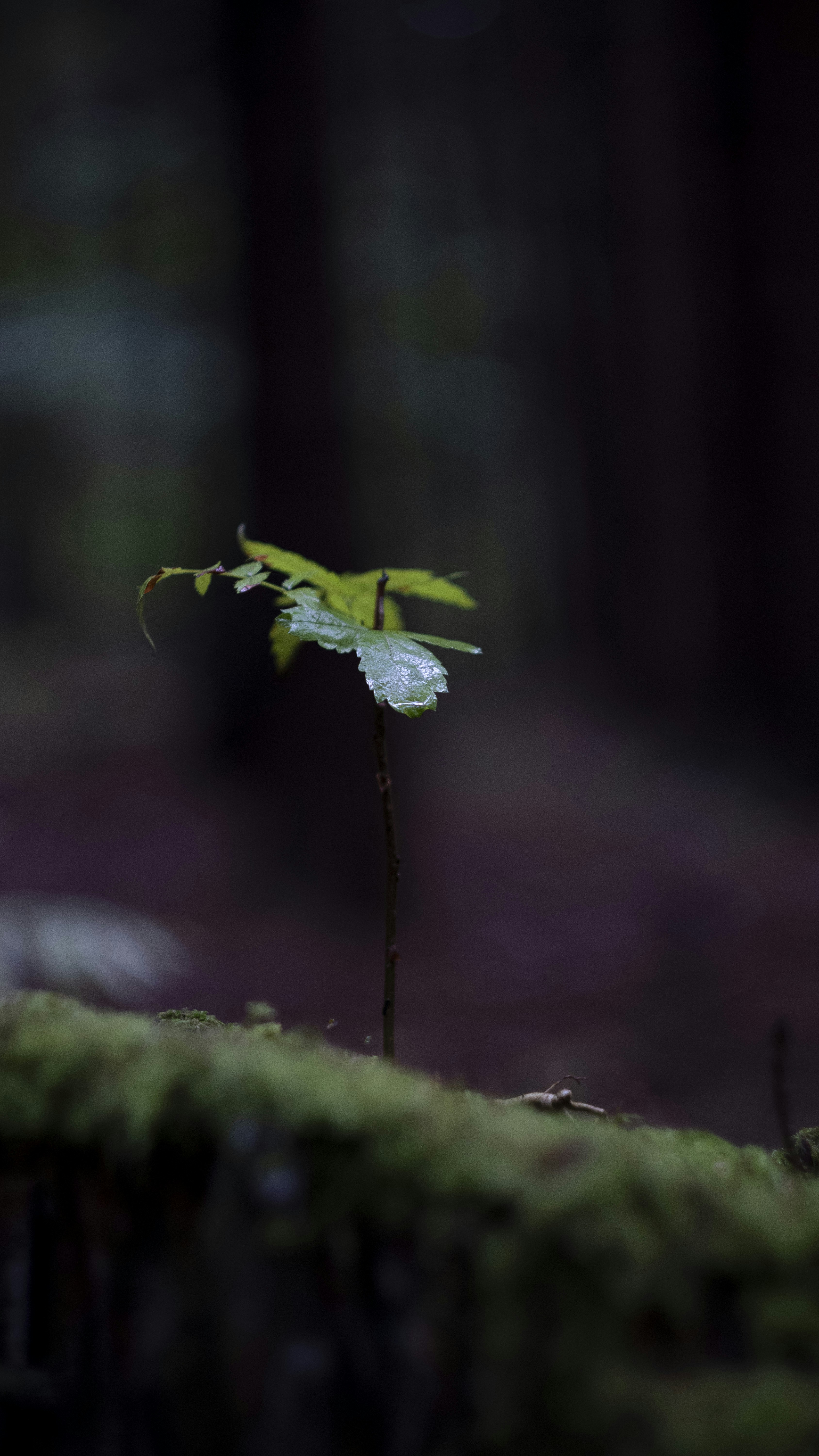 Photo by ciefo