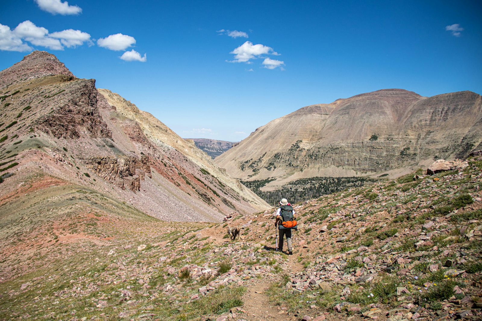 Hiker with a backpack walking a wide mountain trail before a gap year placement