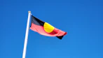 a flag on a pole