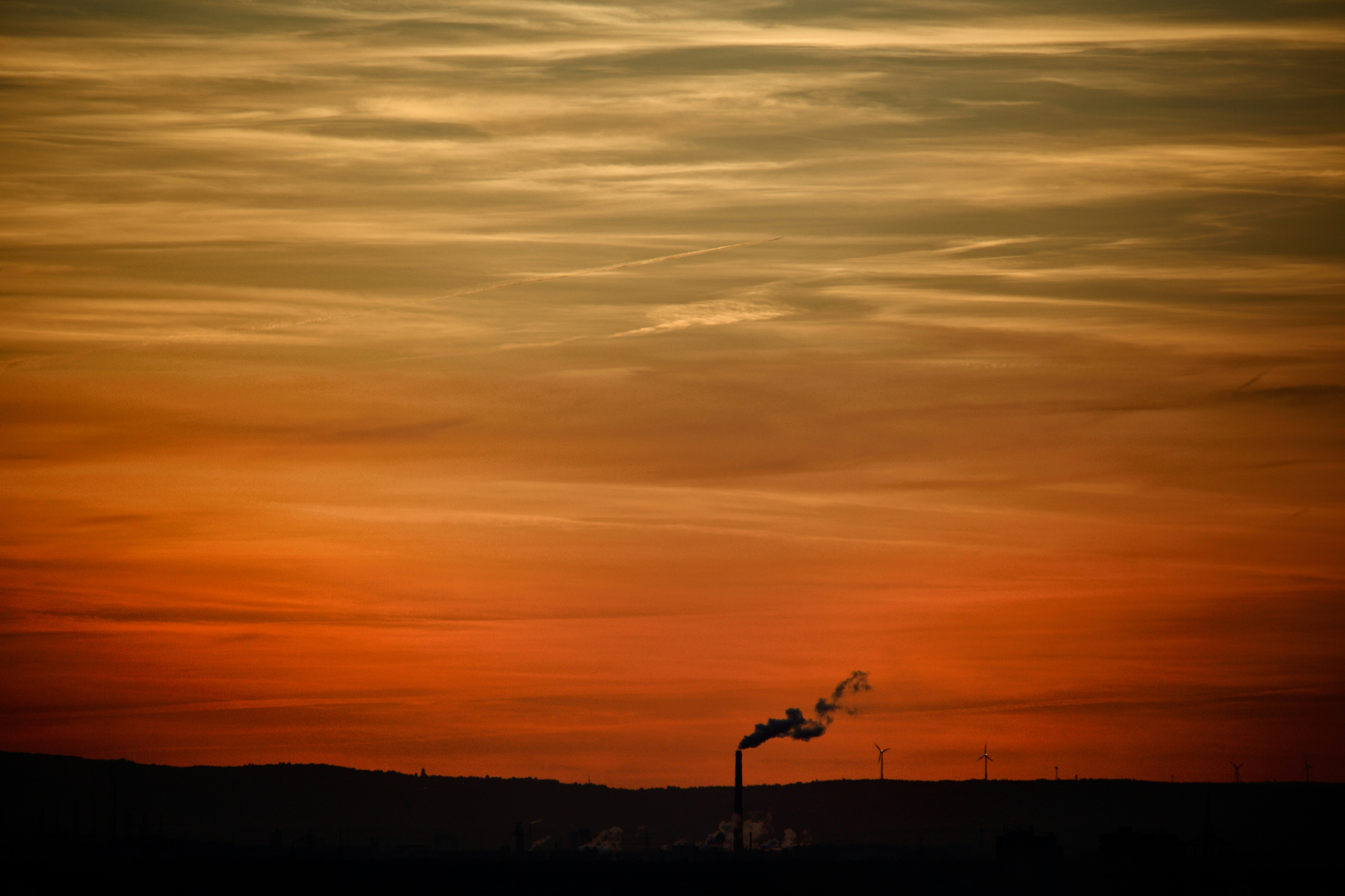 a silhouette of a tree and a sunset