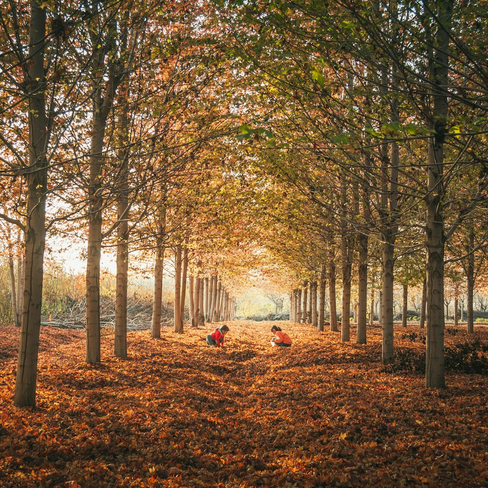 a group of people sitting in a forest