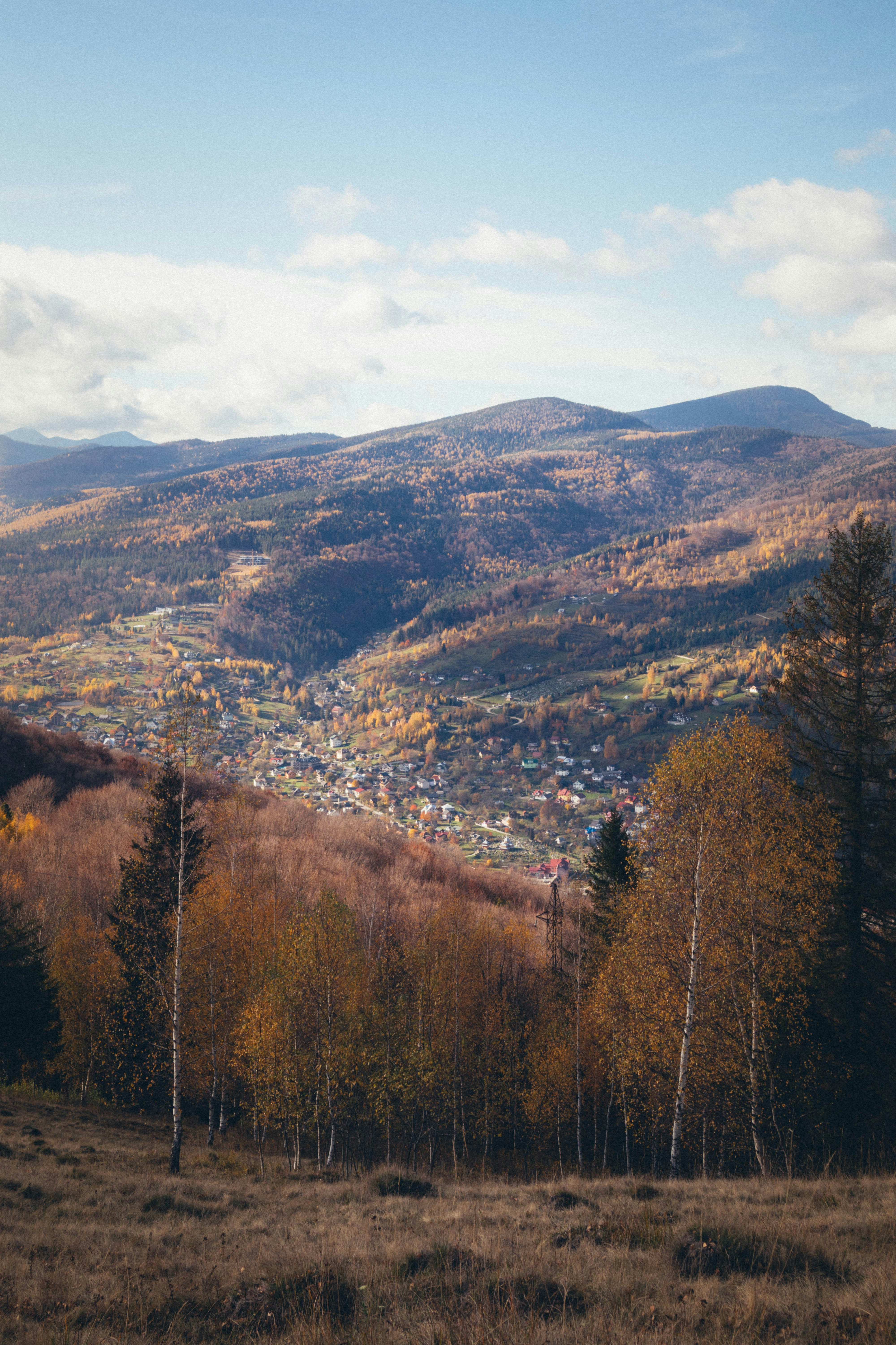 Photo by taraschuiko