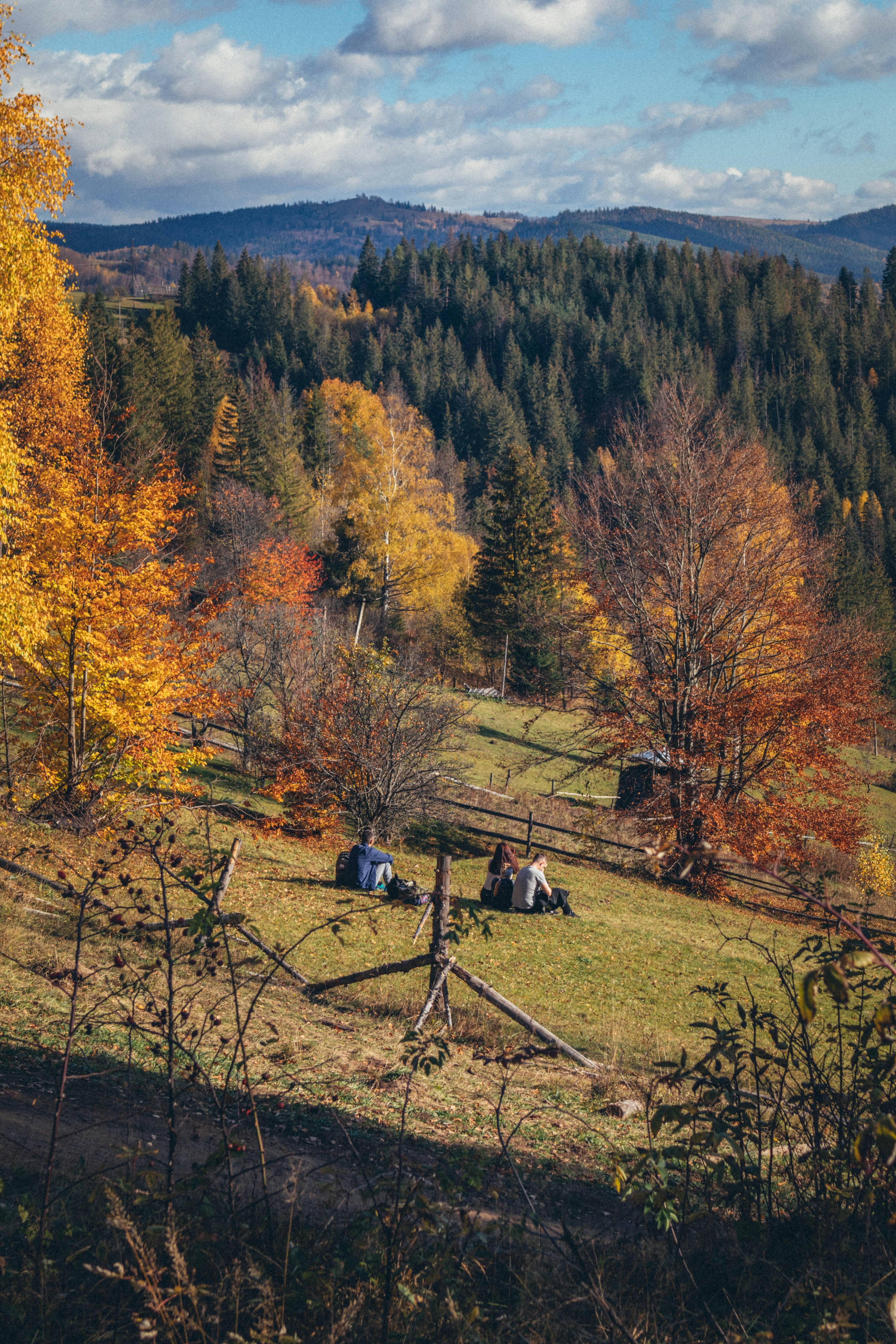 Photo by taraschuiko