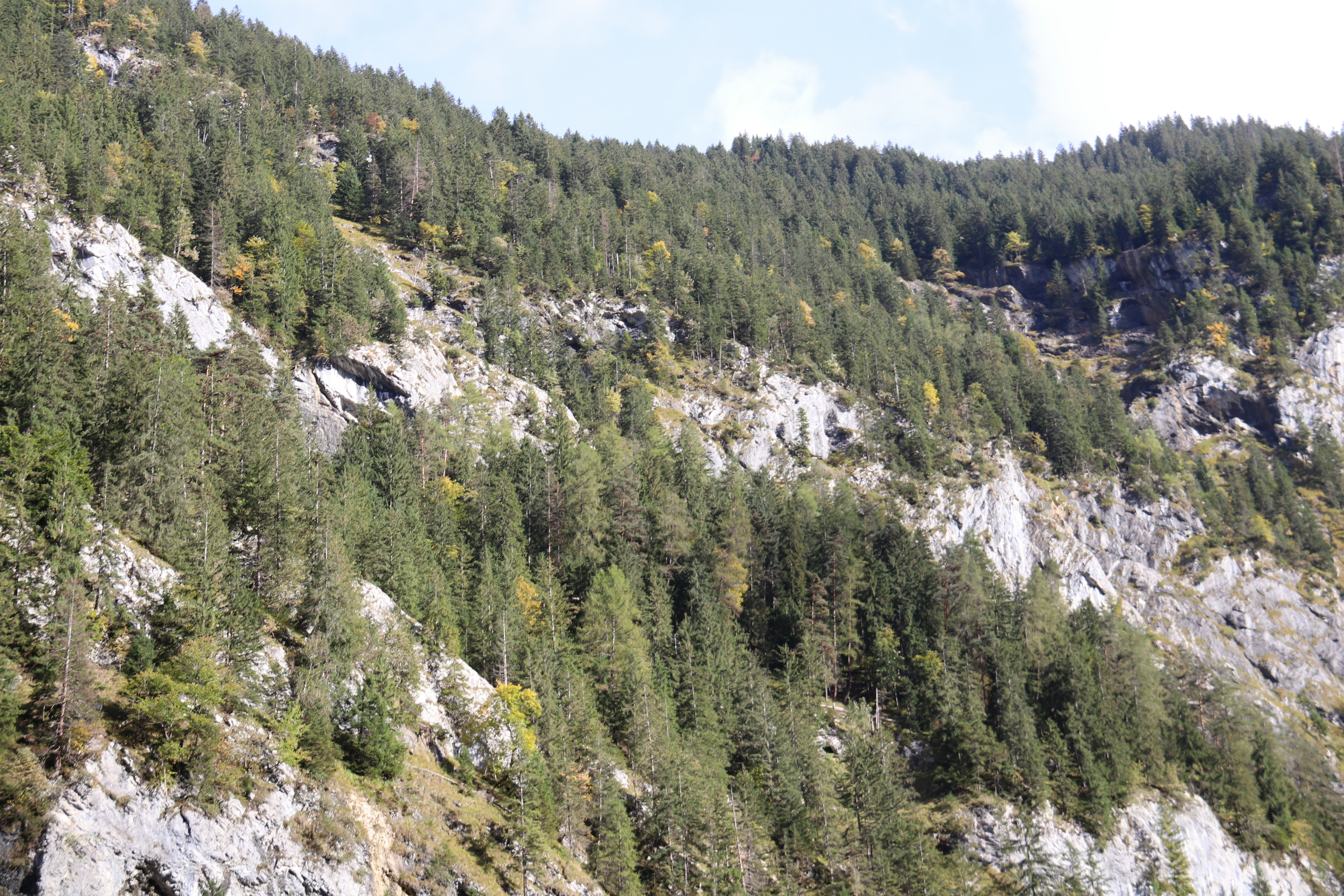 Photo by shalevcohen