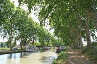 The Canal du Midi