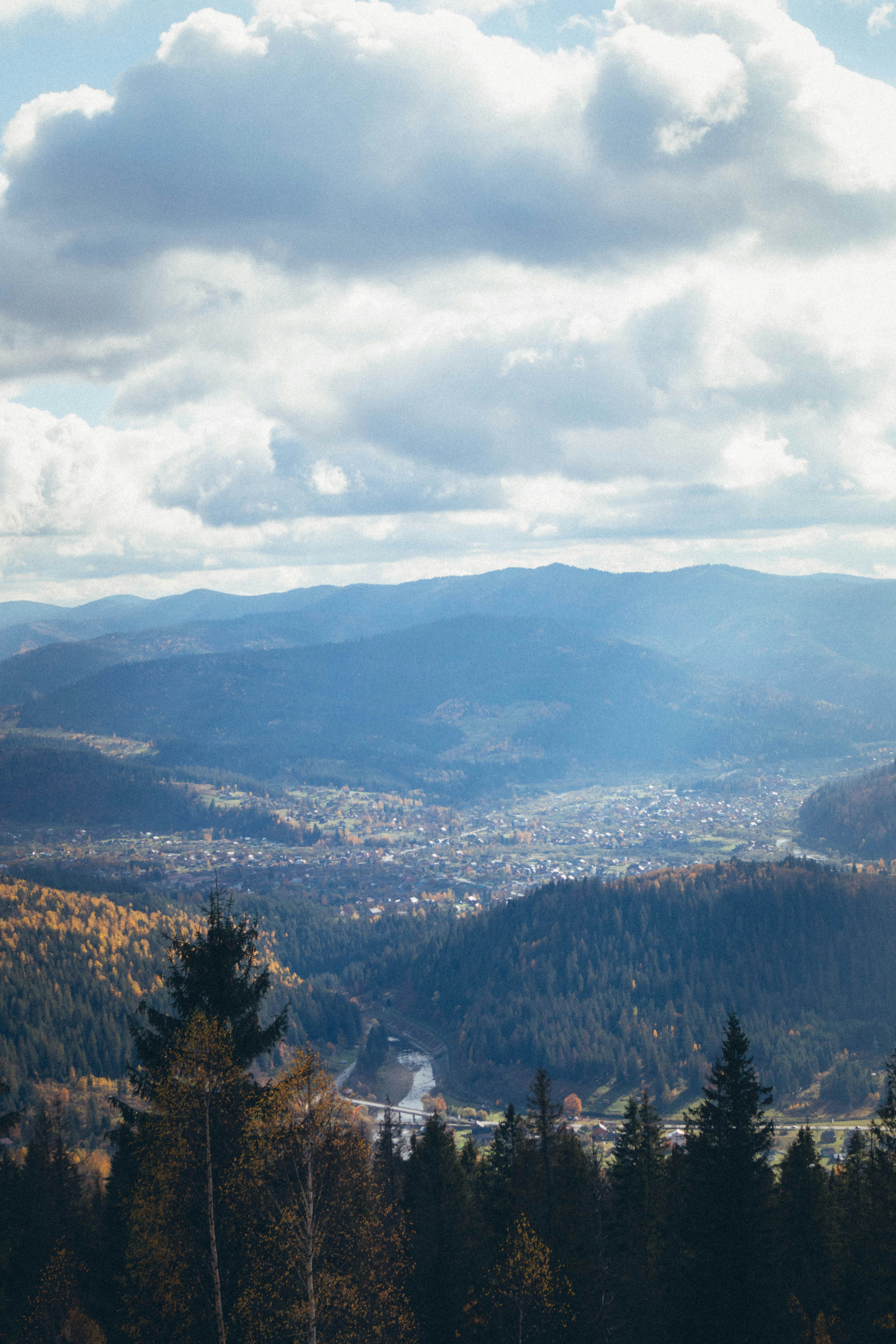 Photo by taraschuiko