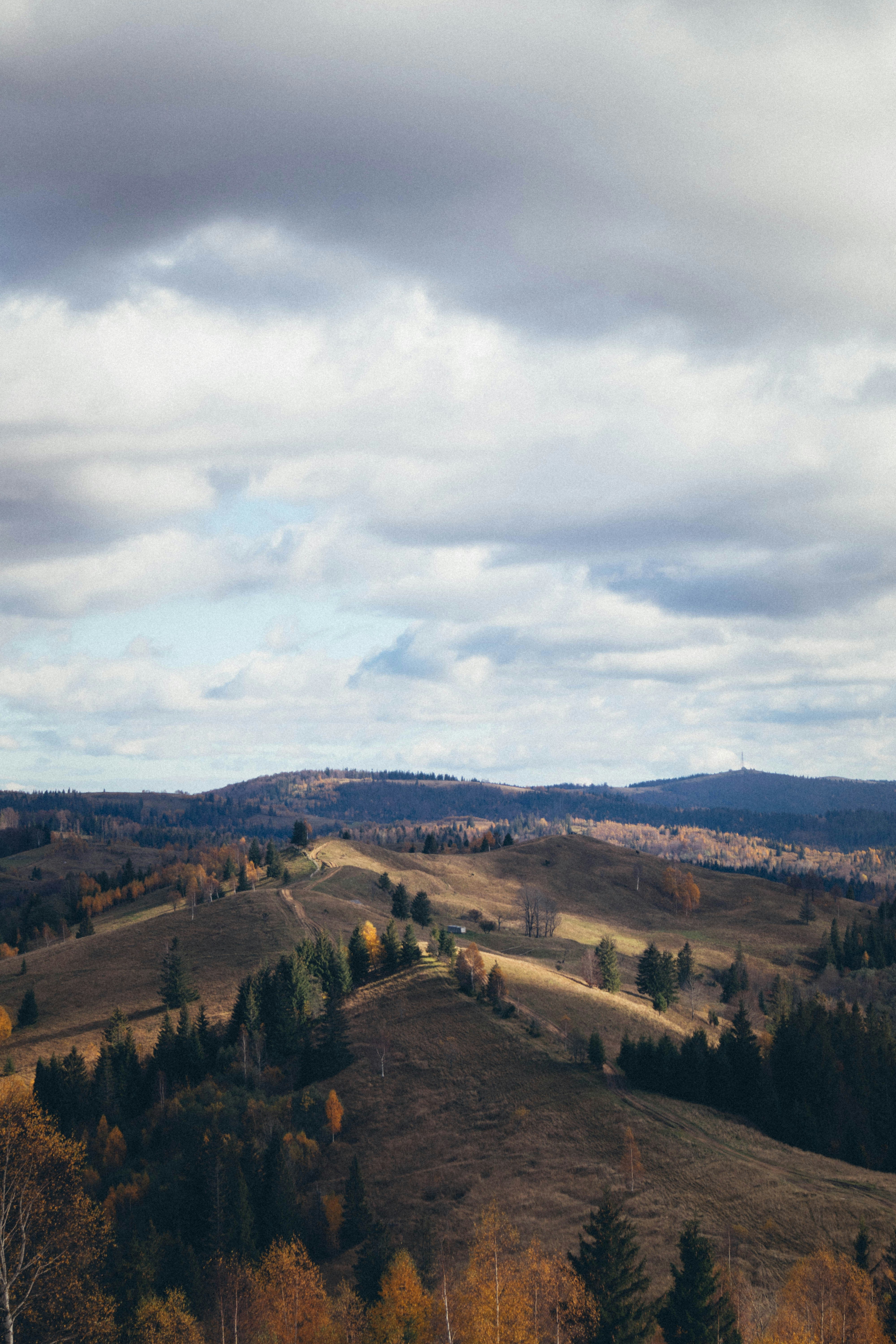 Photo by taraschuiko