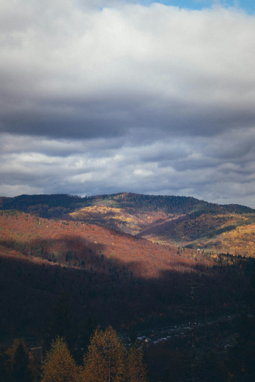 a landscape with trees and hills